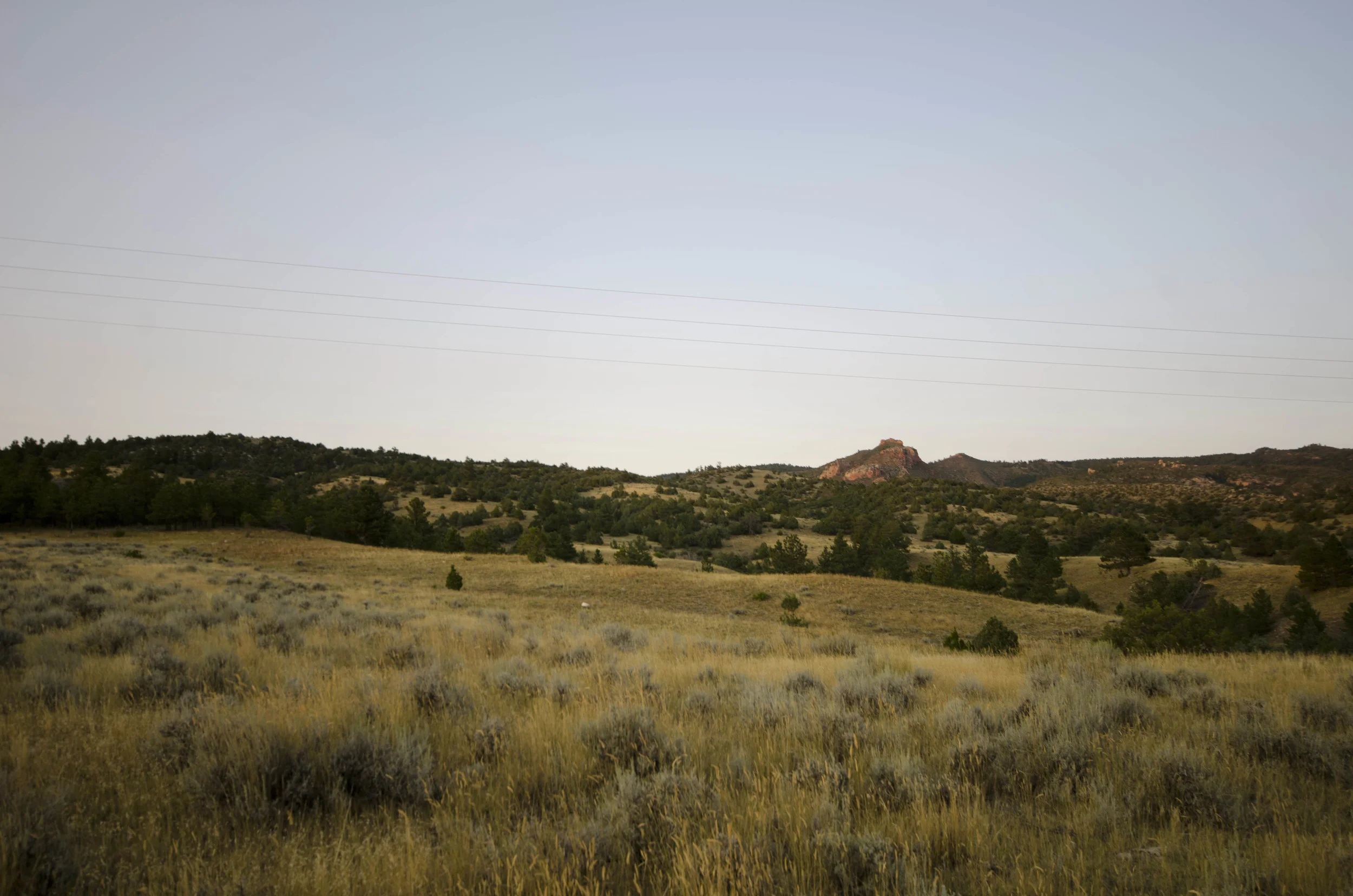 Day 45: 460 miles and 2 states