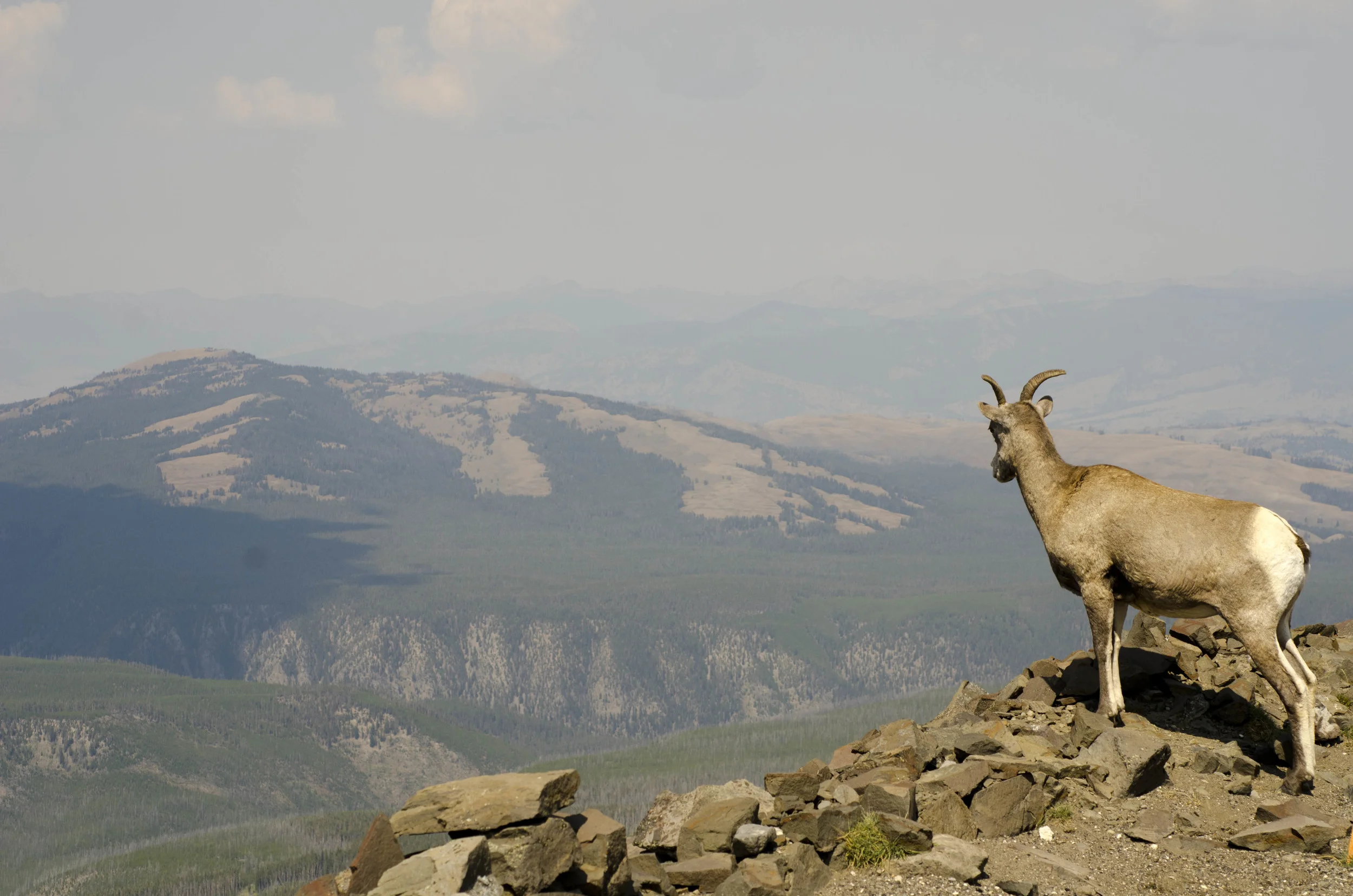 Day 44: 133 miles in a car and a mountain summit