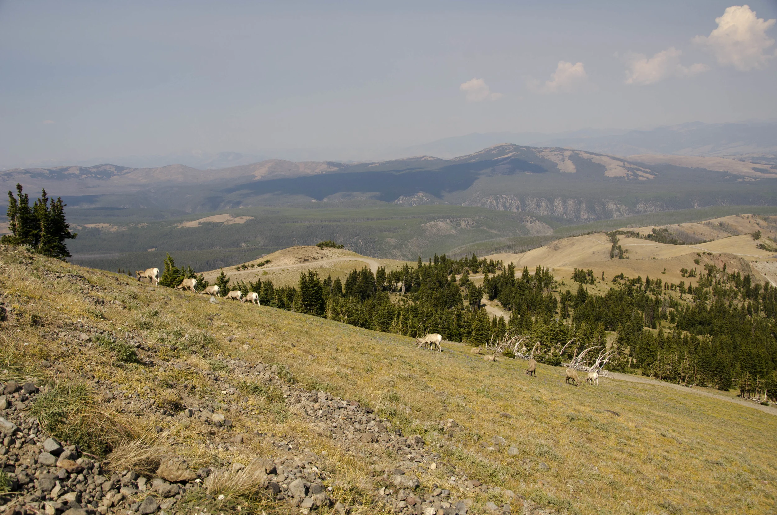 Day 44: 133 miles in a car and a mountain summit