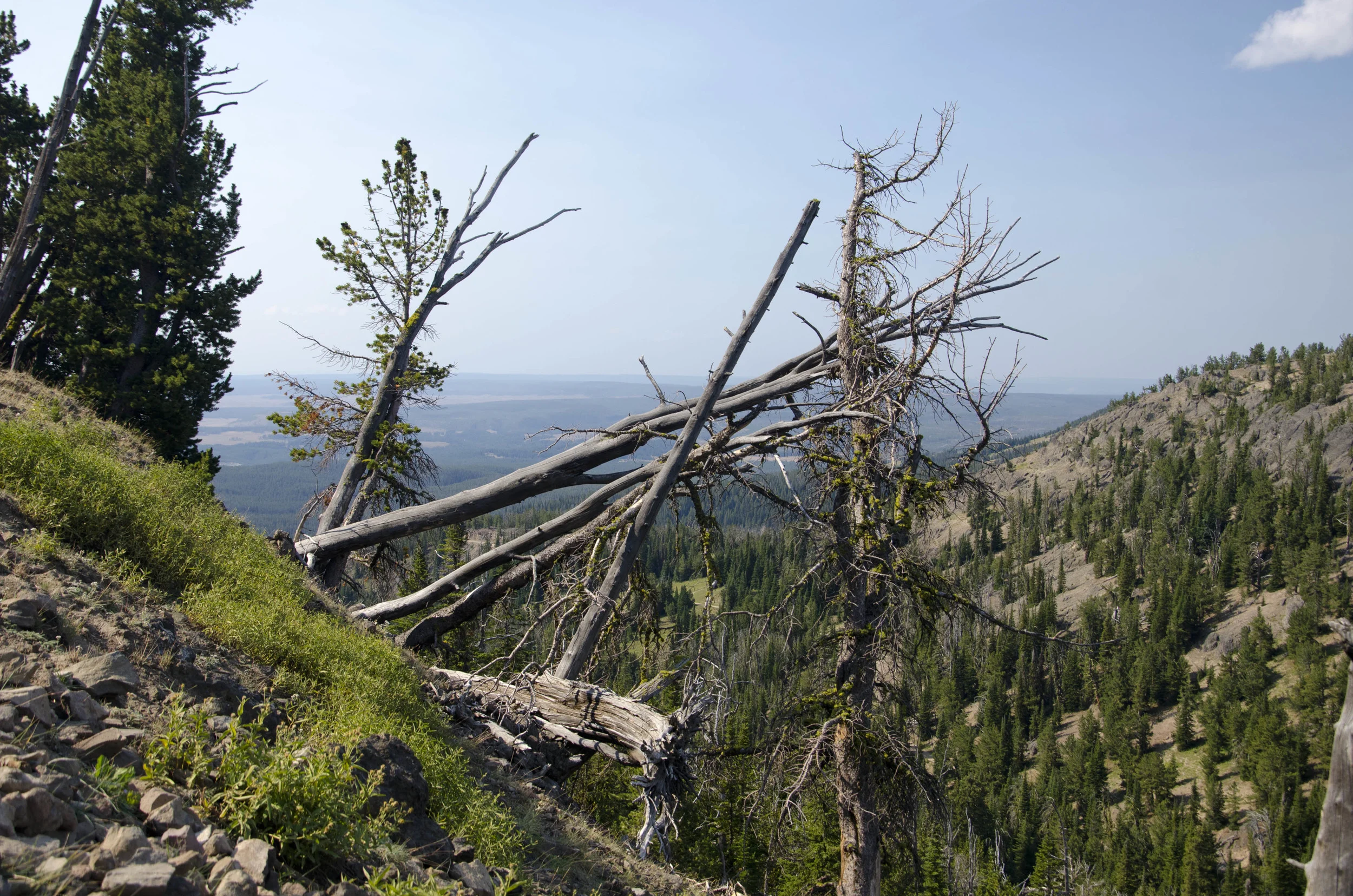 Day 44: 133 miles in a car and a mountain summit