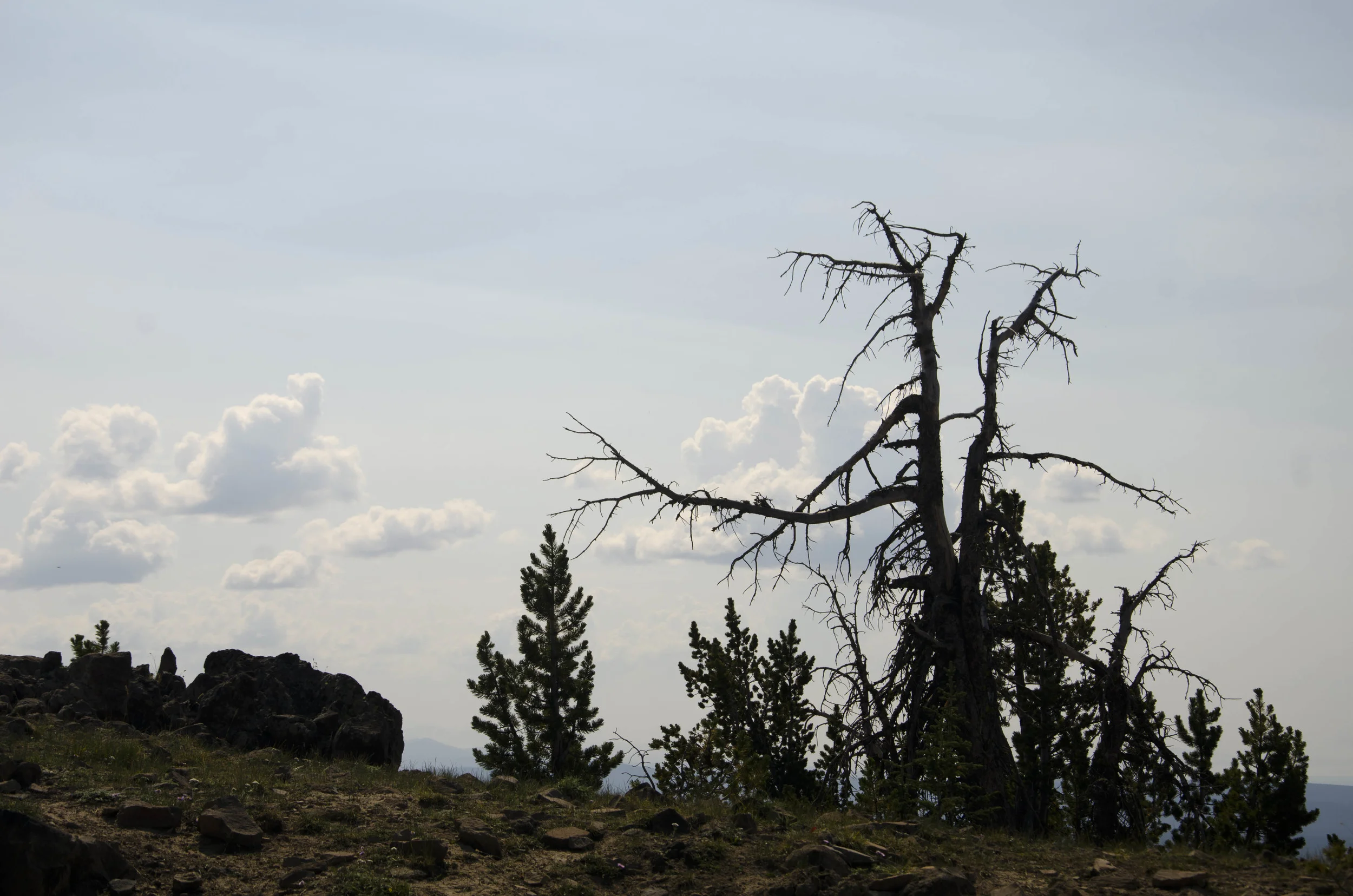 Day 44: 133 miles in a car and a mountain summit