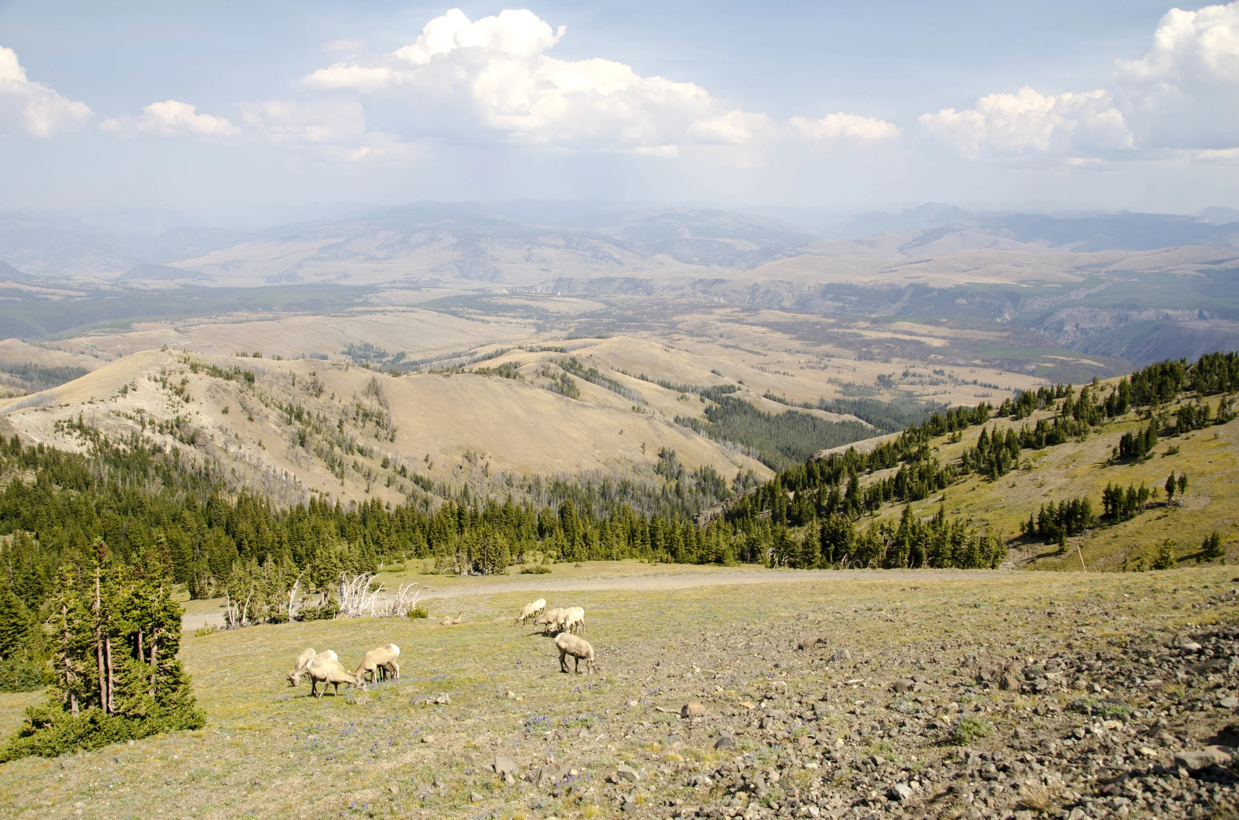 Day 44: 133 miles in a car and a mountain summit