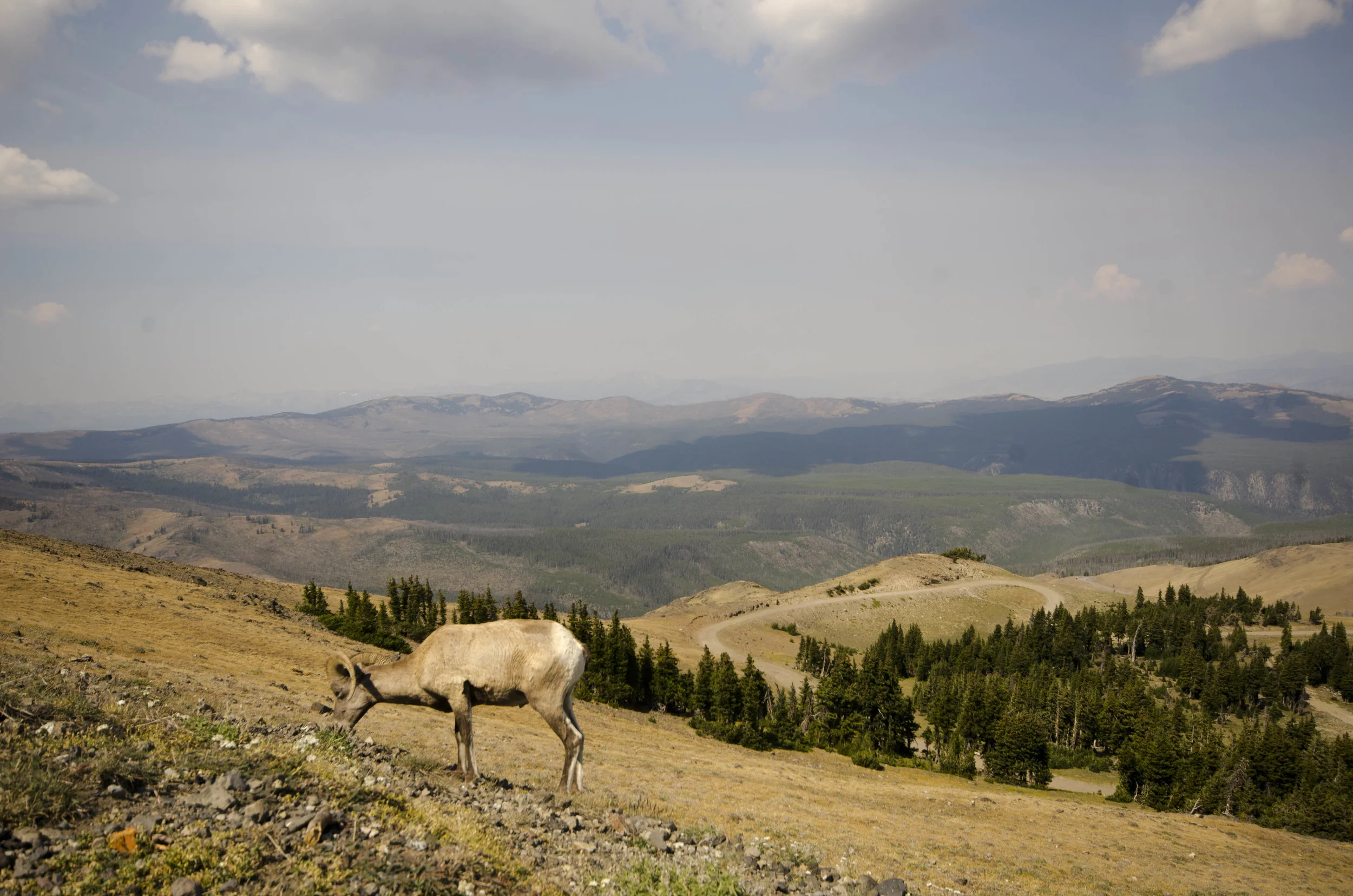 Day 44: 133 miles in a car and a mountain summit
