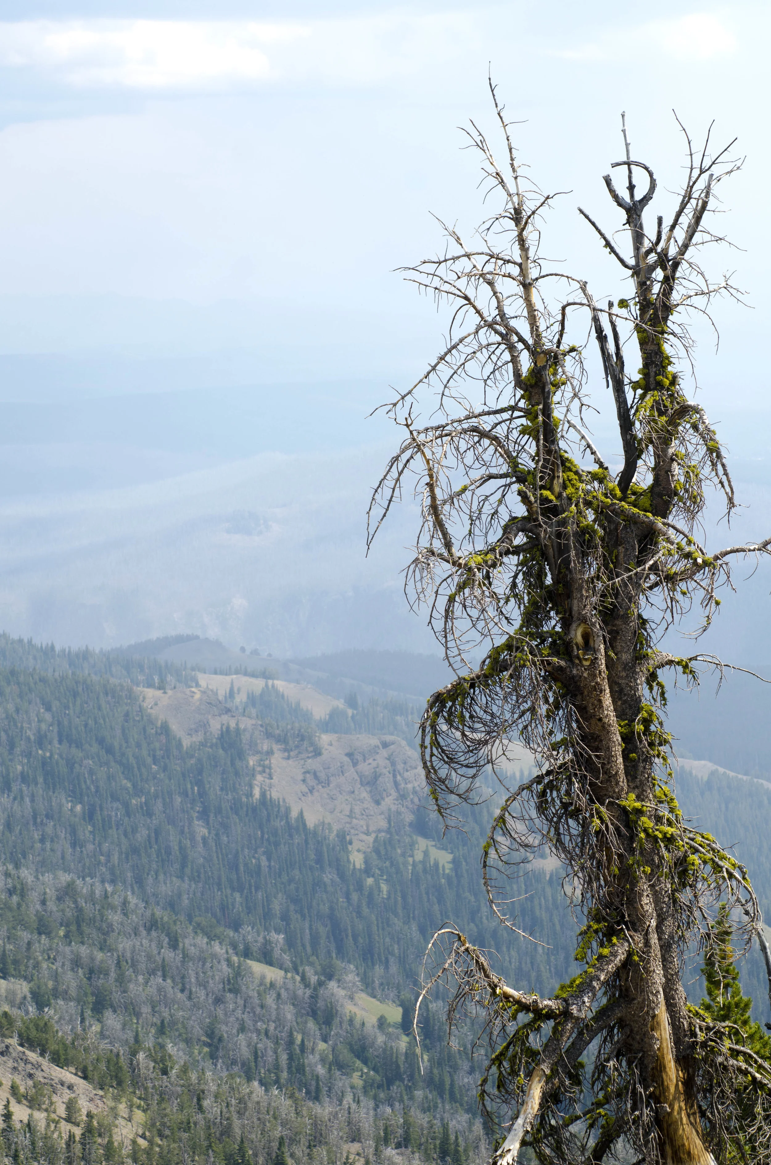 Day 44: 133 miles in a car and a mountain summit