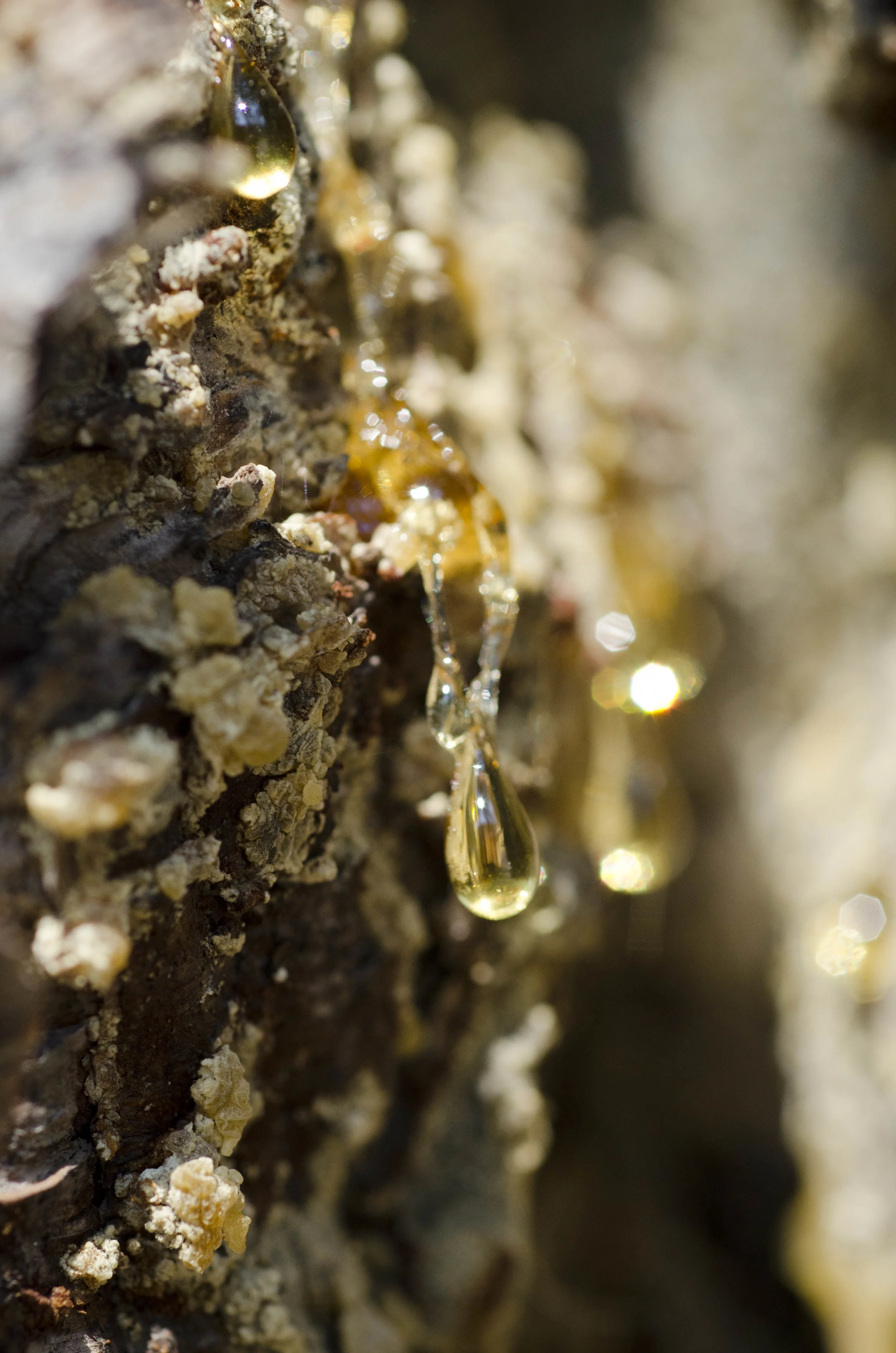 Day 43: 389 miles, 2 states and a whole lotta pretty