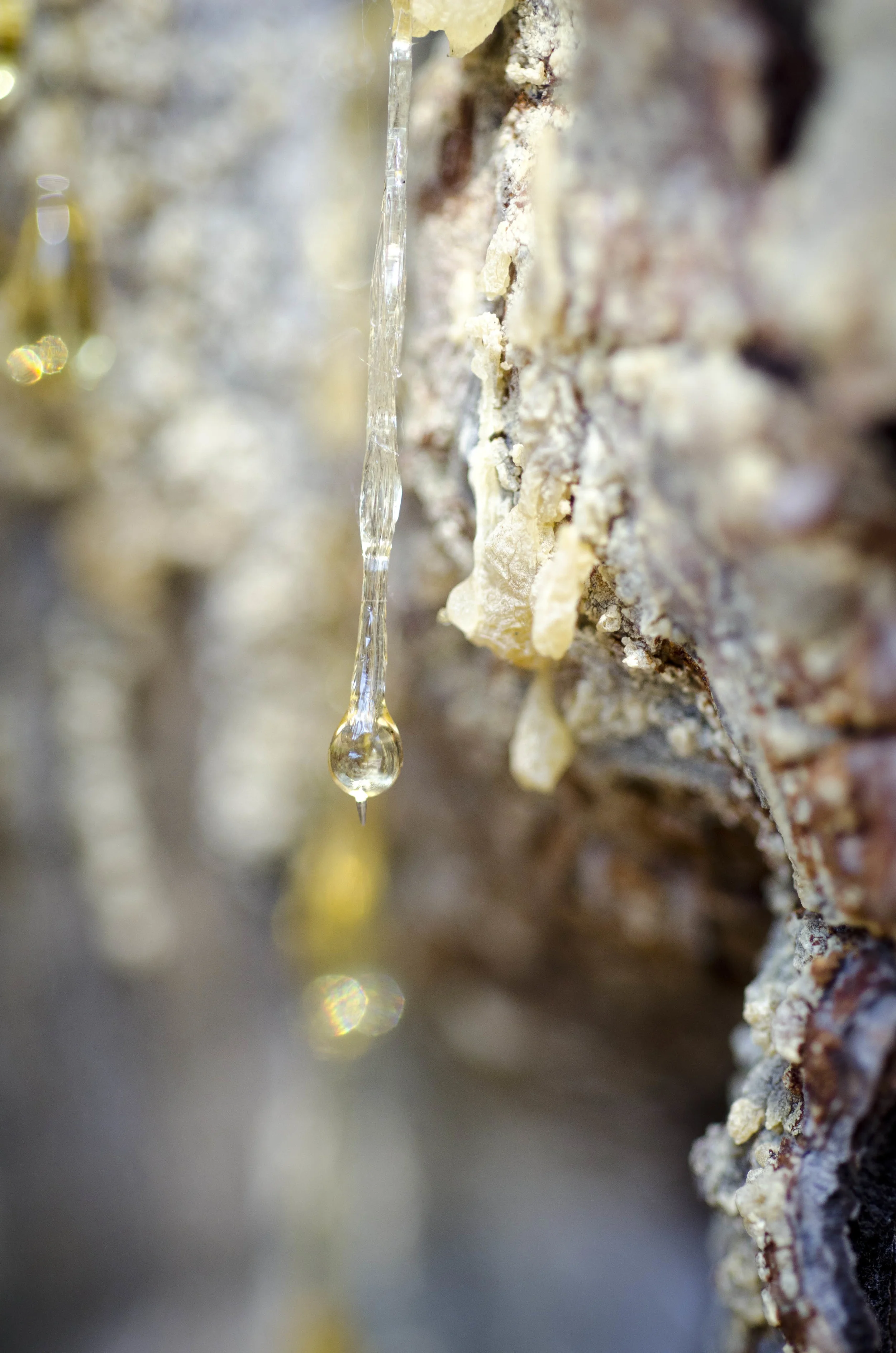 Day 43: 389 miles, 2 states and a whole lotta pretty