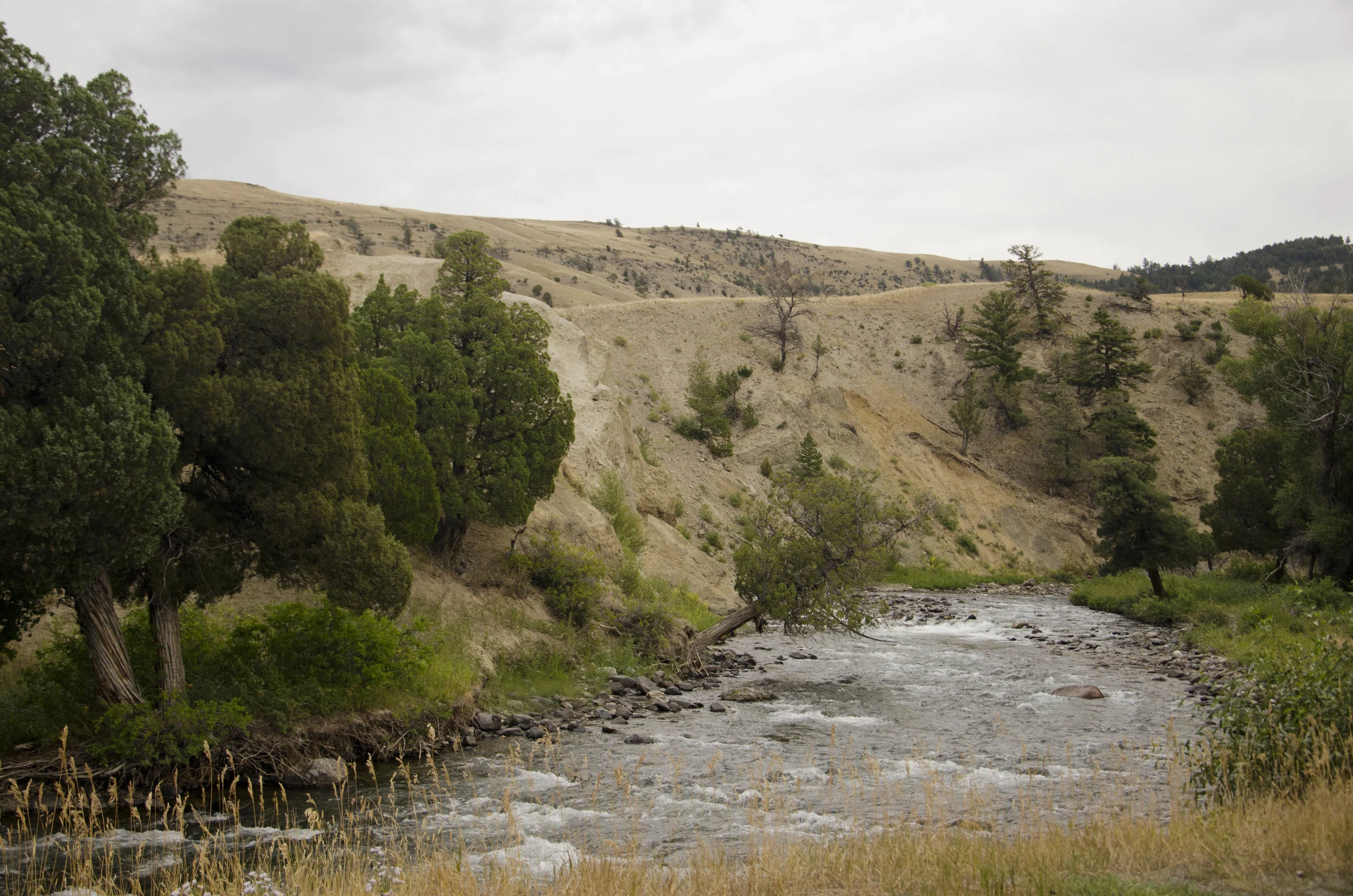 Day 43: 389 miles, 2 states and a whole lotta pretty