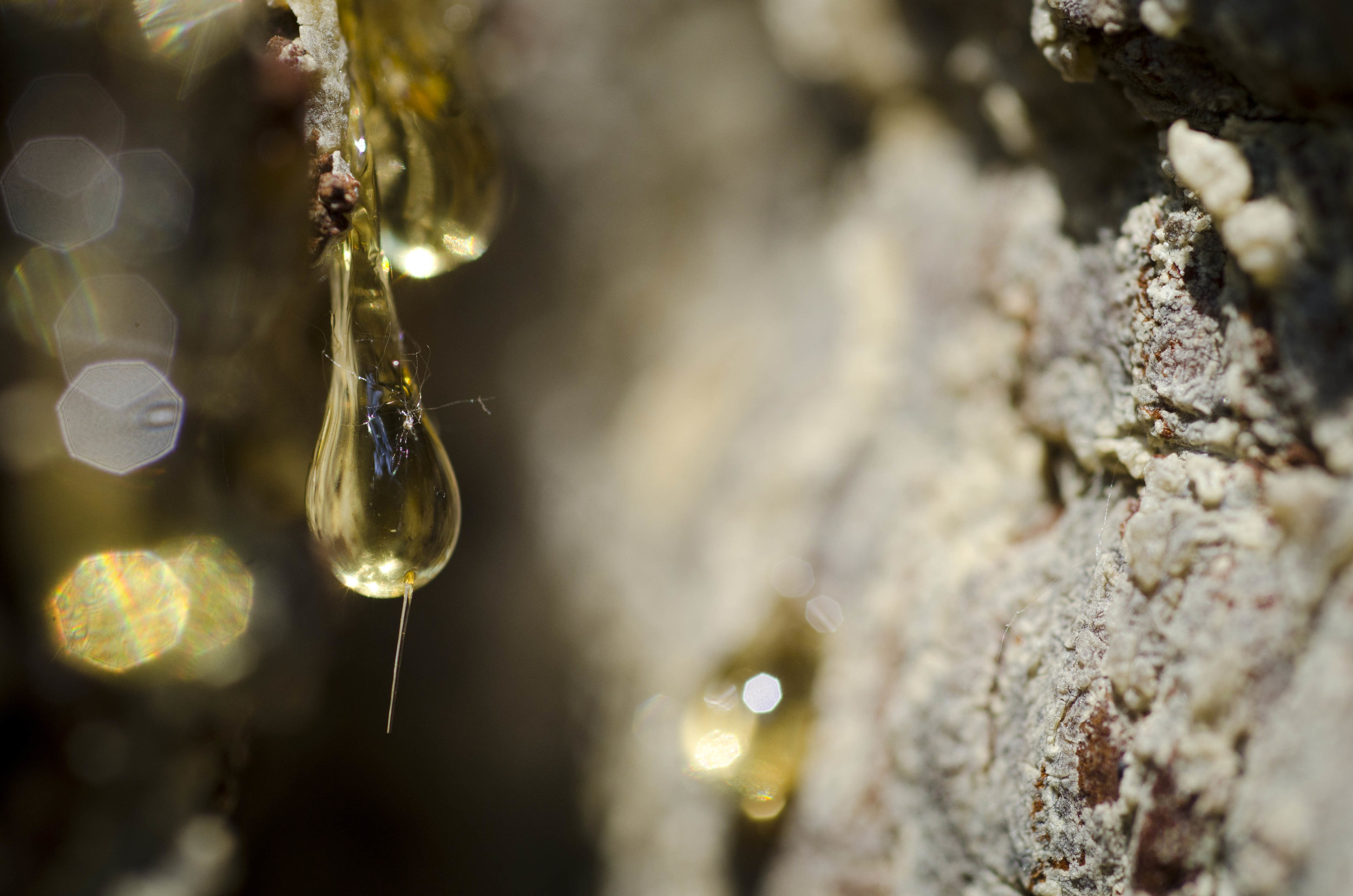 Day 43: 389 miles, 2 states and a whole lotta pretty