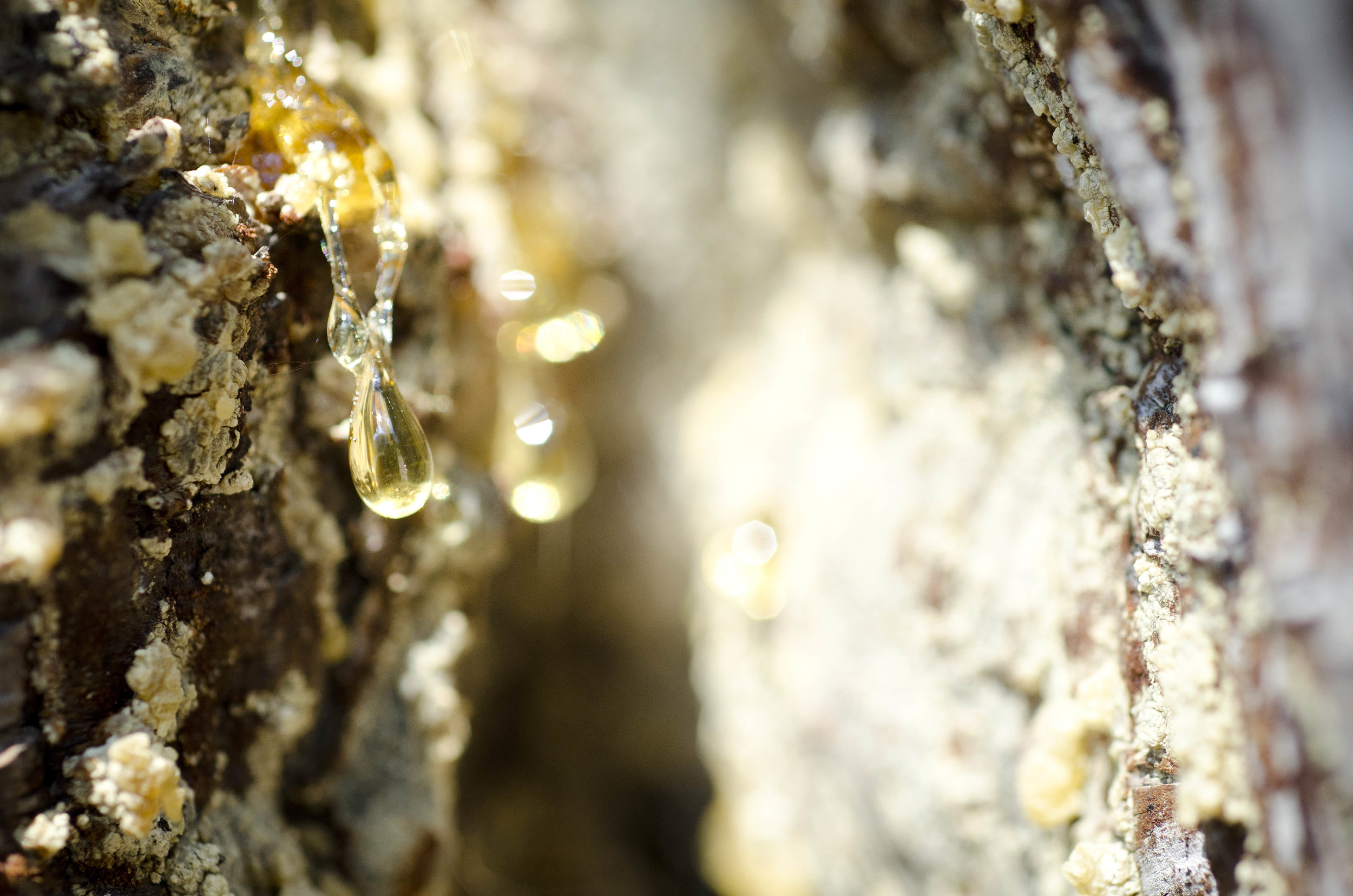 Day 43: 389 miles, 2 states and a whole lotta pretty