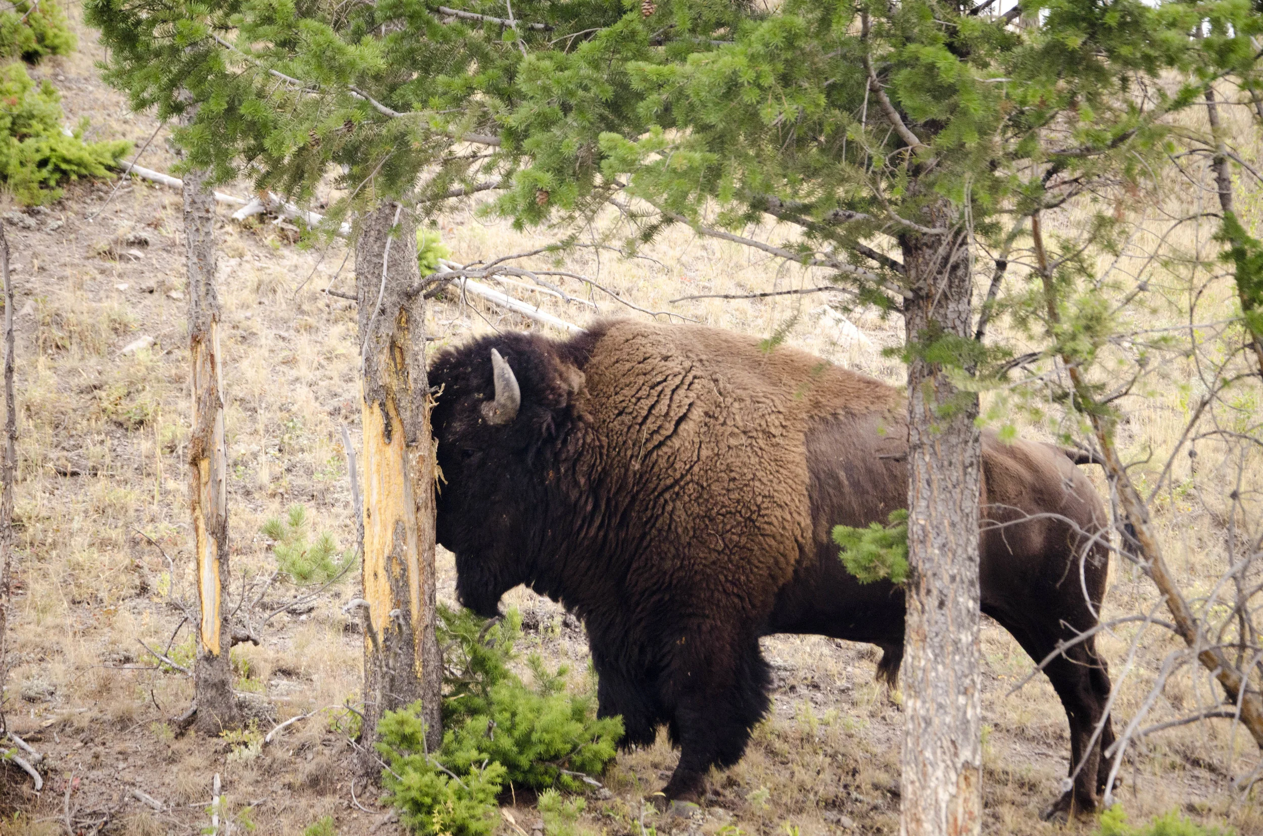 Day 43: 389 miles, 2 states and a whole lotta pretty