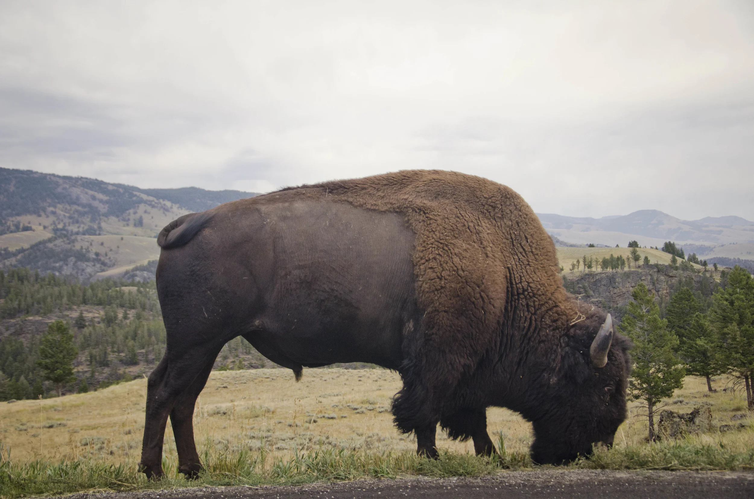 Day 43: 389 miles, 2 states and a whole lotta pretty