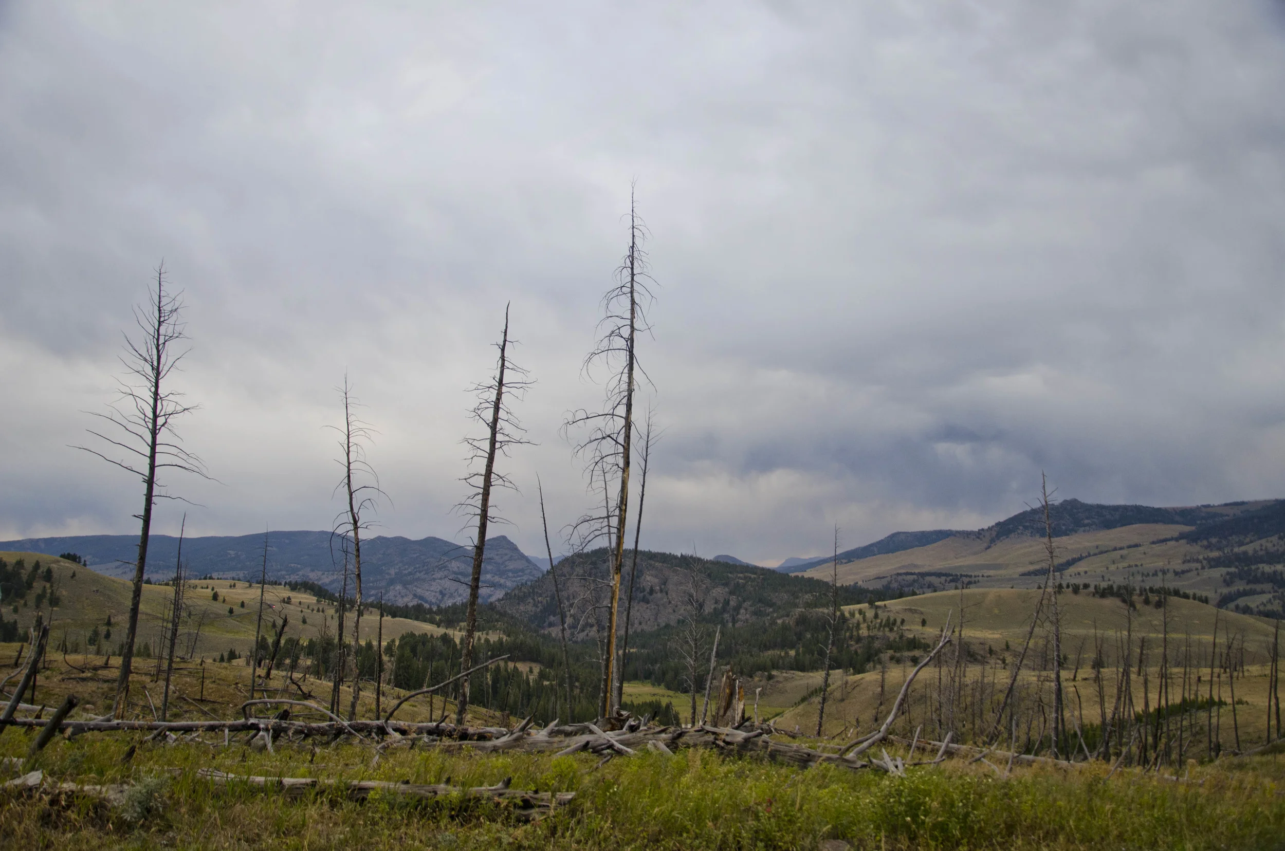 Day 43: 389 miles, 2 states and a whole lotta pretty