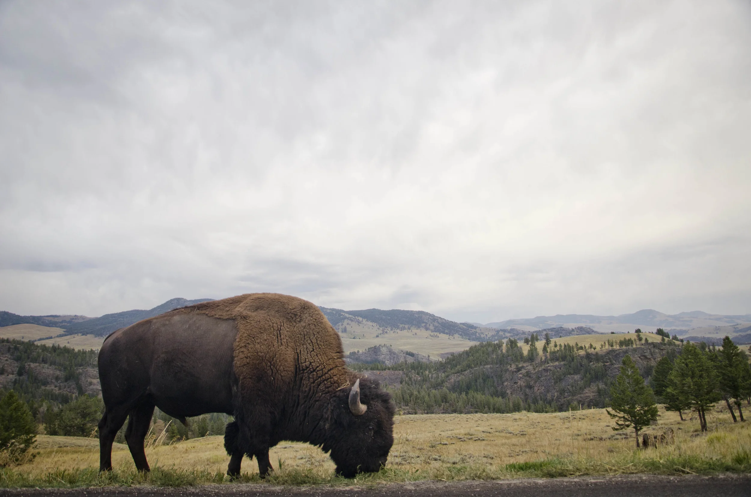 Day 43: 389 miles, 2 states and a whole lotta pretty