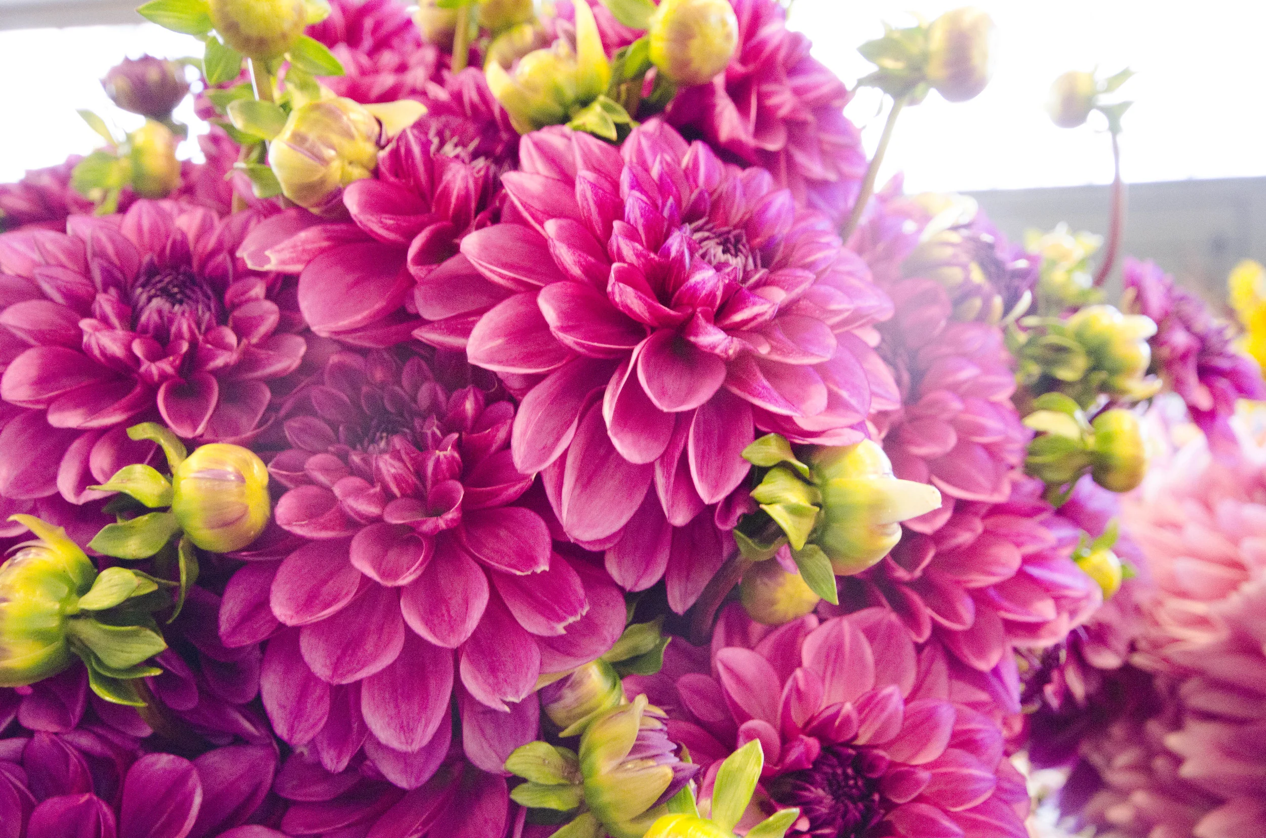 Day 42: A different sort of road trip, 405 miles and another addition!