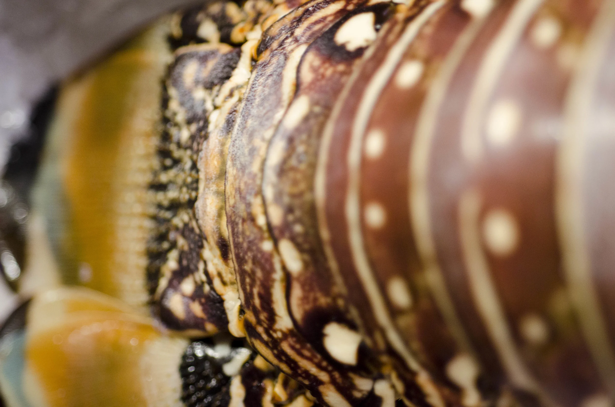 Day 42: A different sort of road trip, 405 miles and another addition!