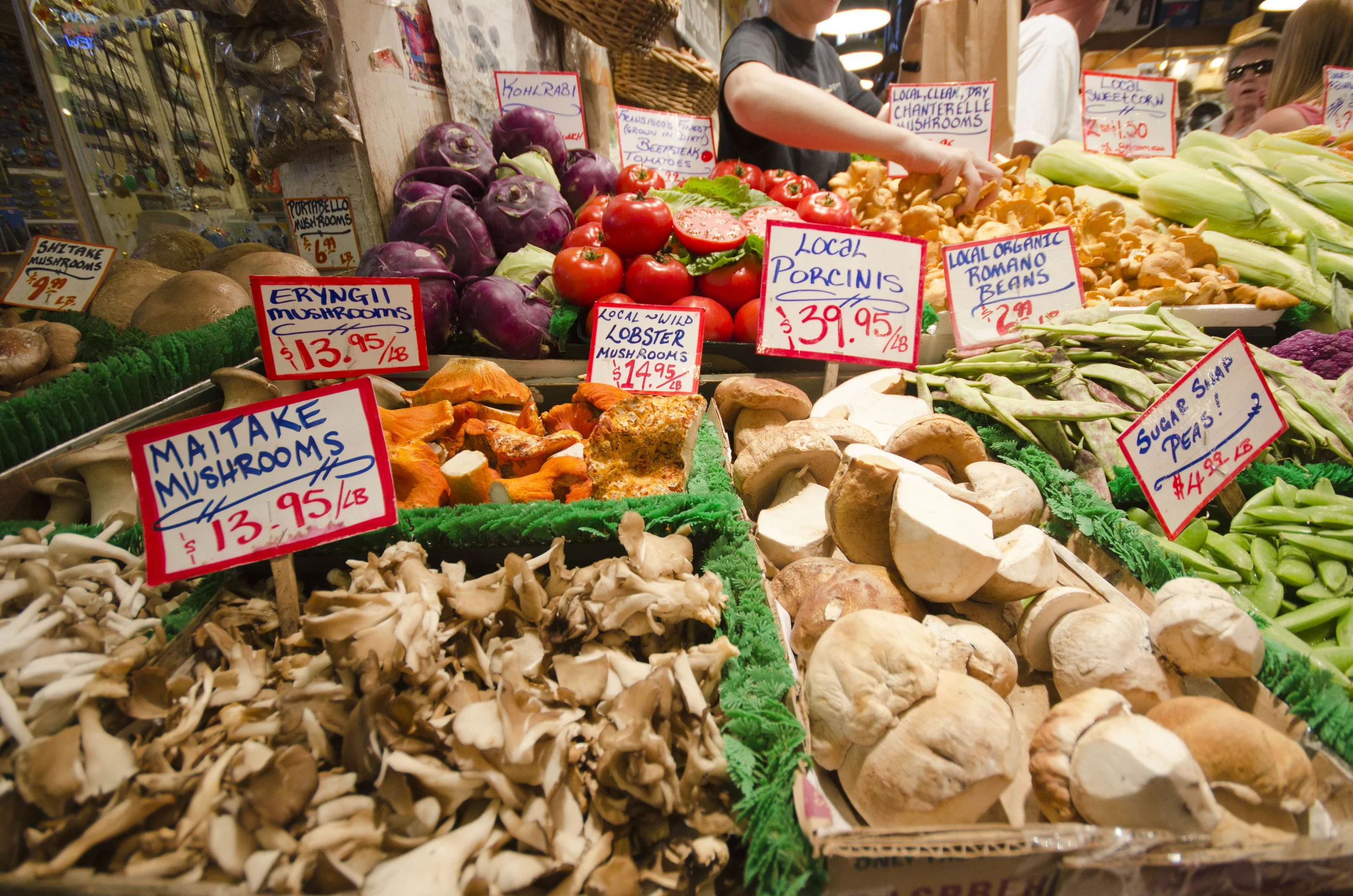 Day 42: A different sort of road trip, 405 miles and another addition!