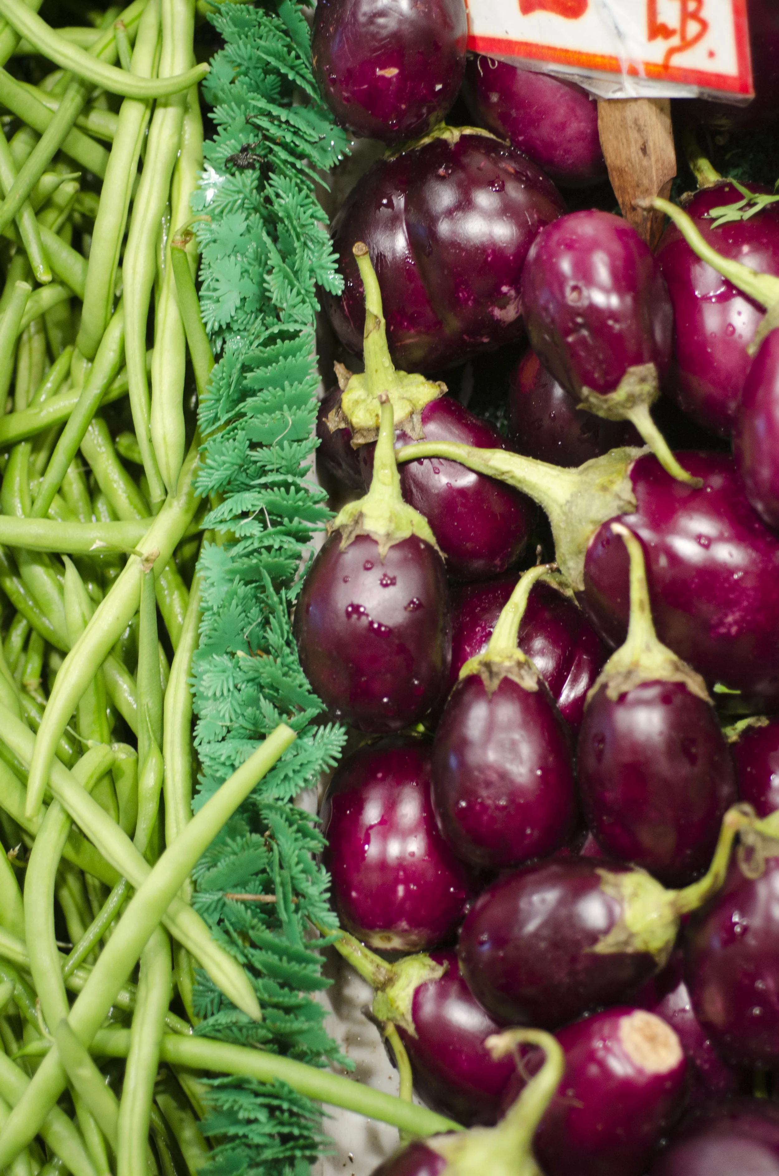 Day 42: A different sort of road trip, 405 miles and another addition!