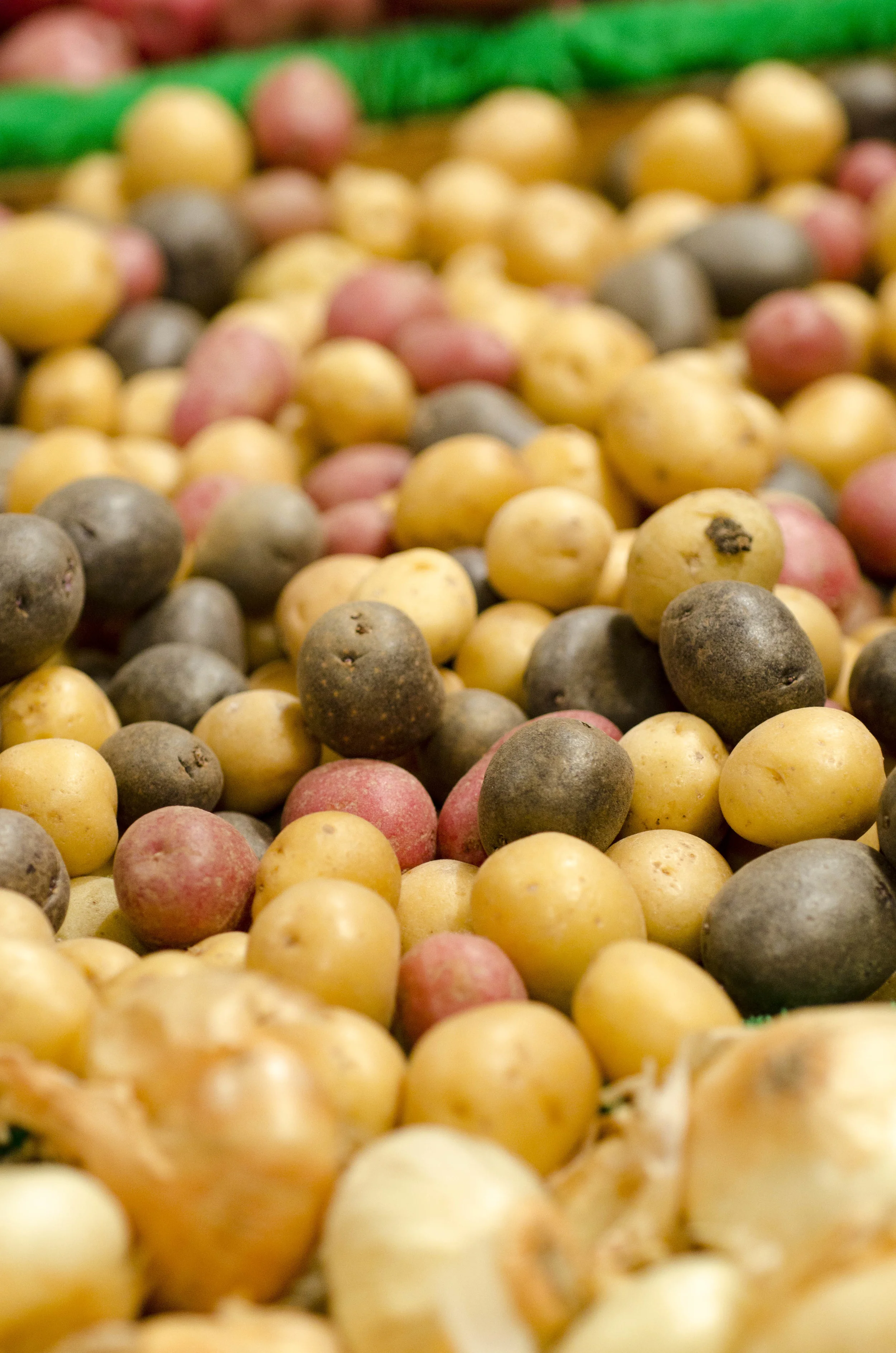 Day 42: A different sort of road trip, 405 miles and another addition!