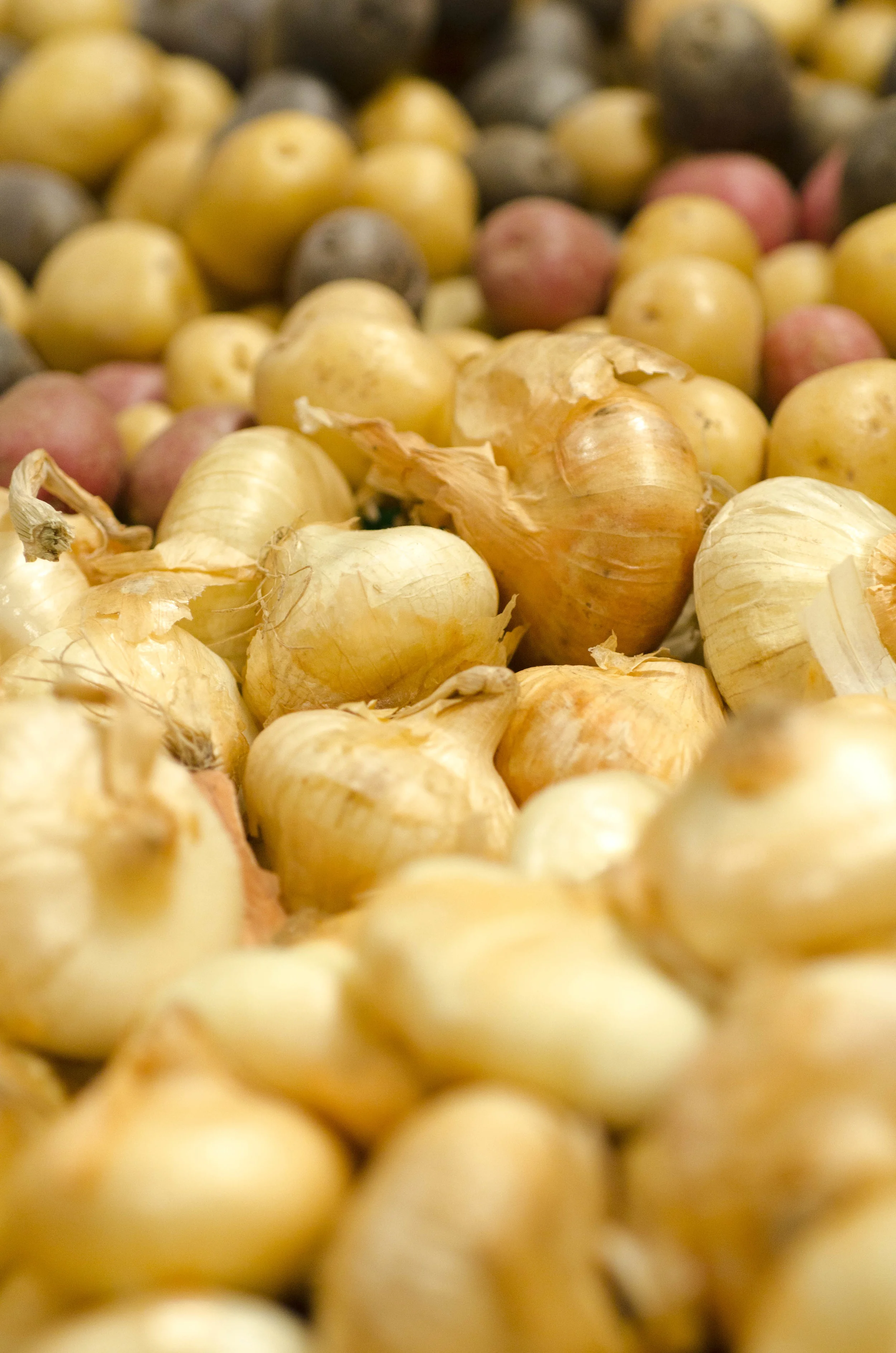 Day 42: A different sort of road trip, 405 miles and another addition!