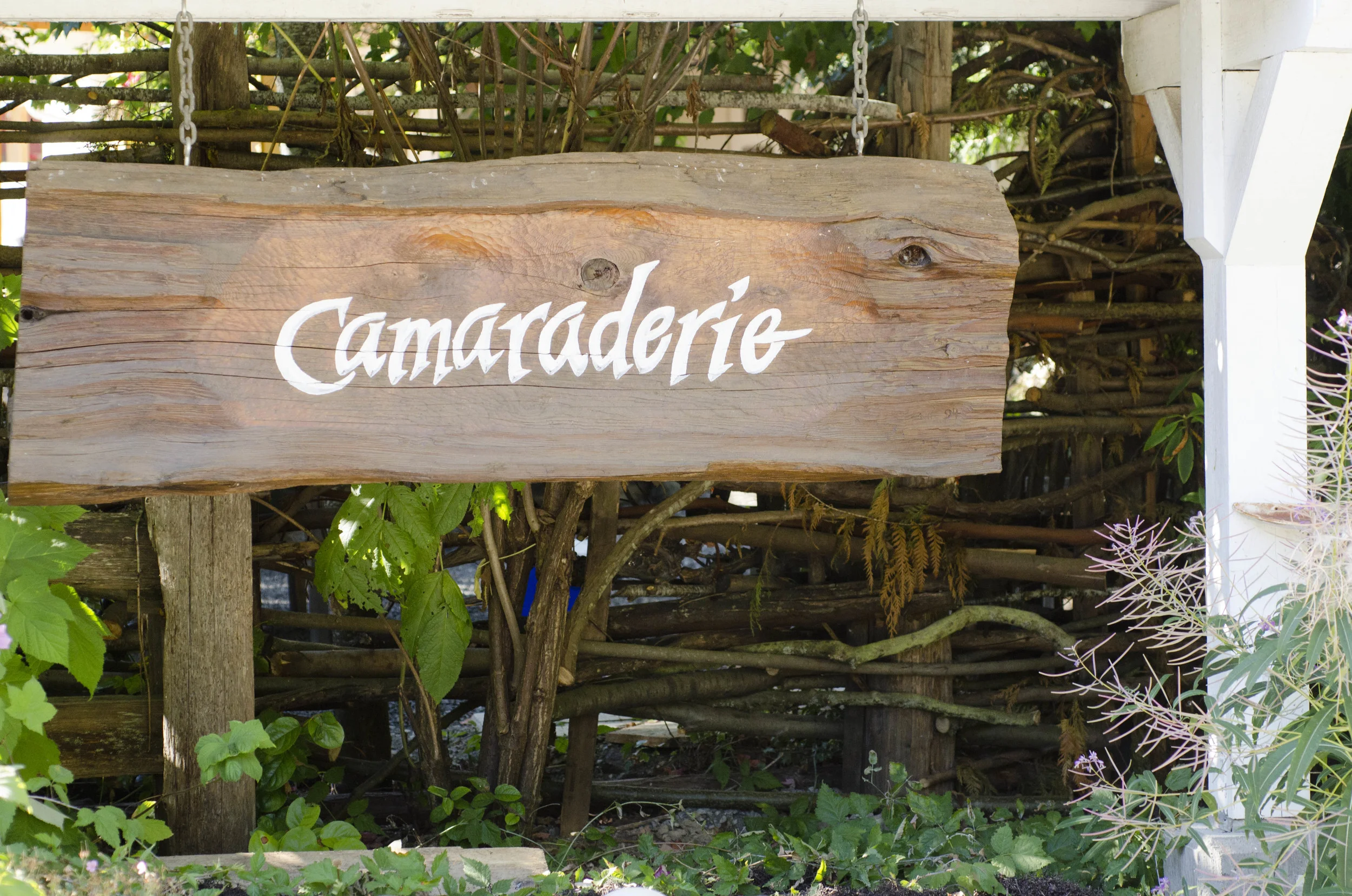 Day 41: 220 miles, 3 ferries and a new addition to our party!