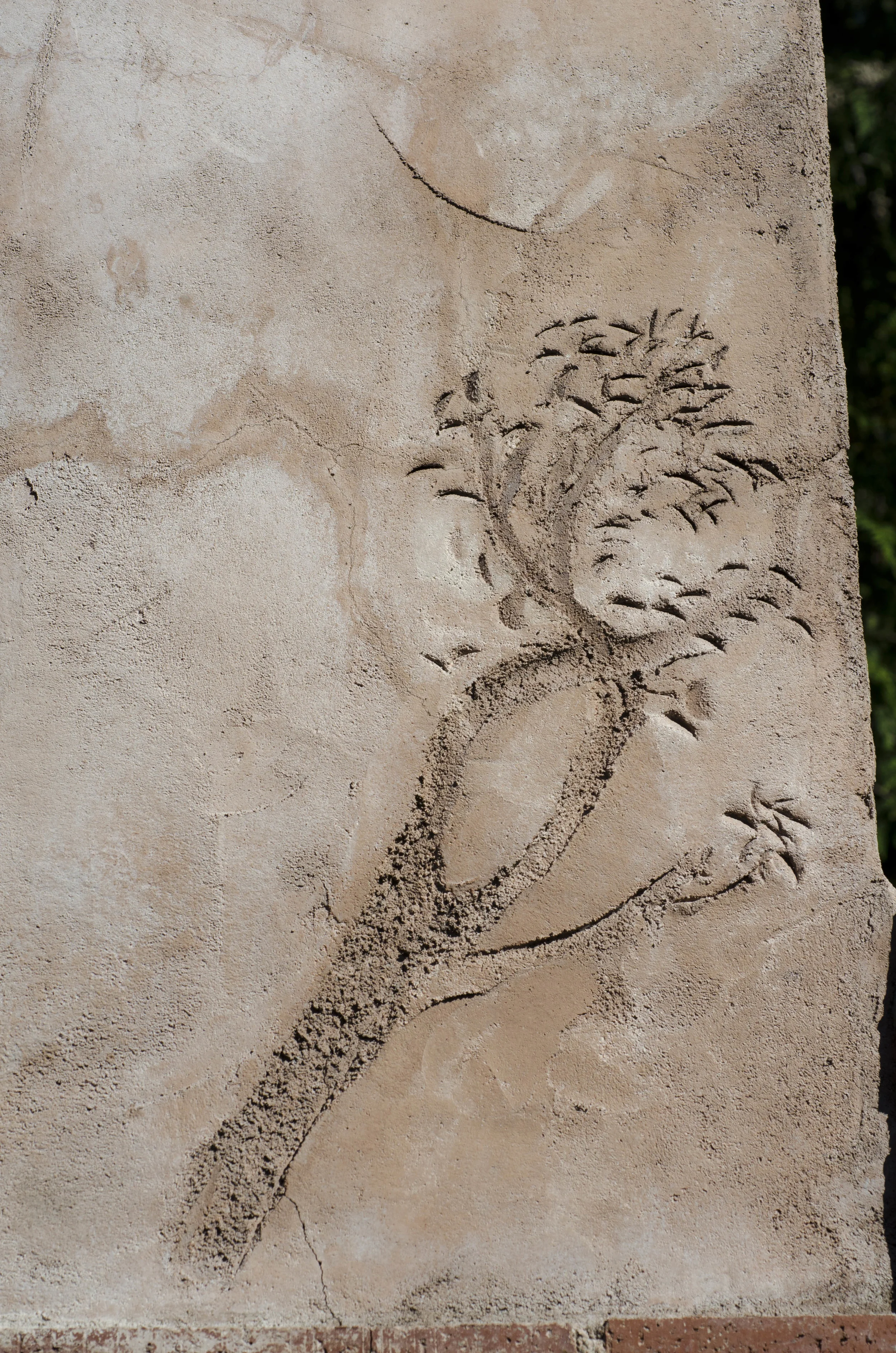 Day 41: 220 miles, 3 ferries and a new addition to our party!