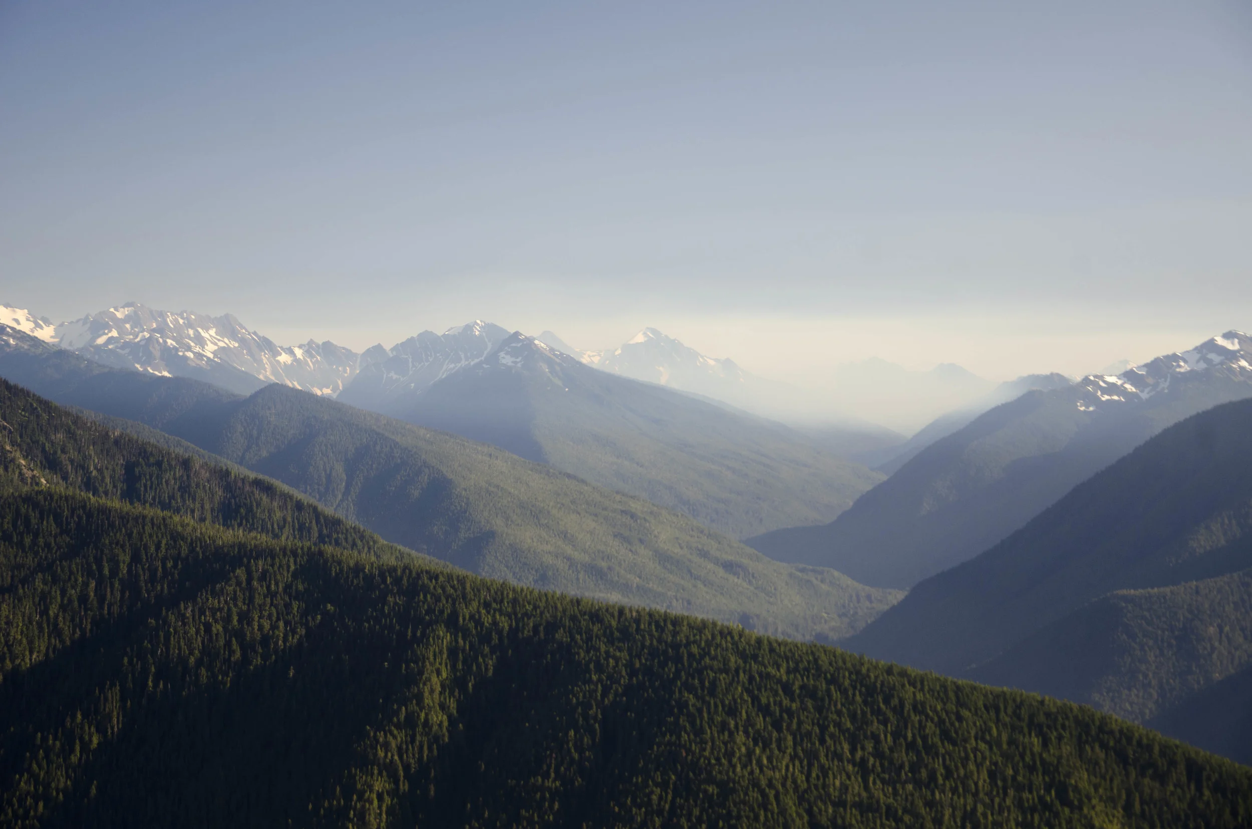 Day 41: 220 miles, 3 ferries and a new addition to our party!