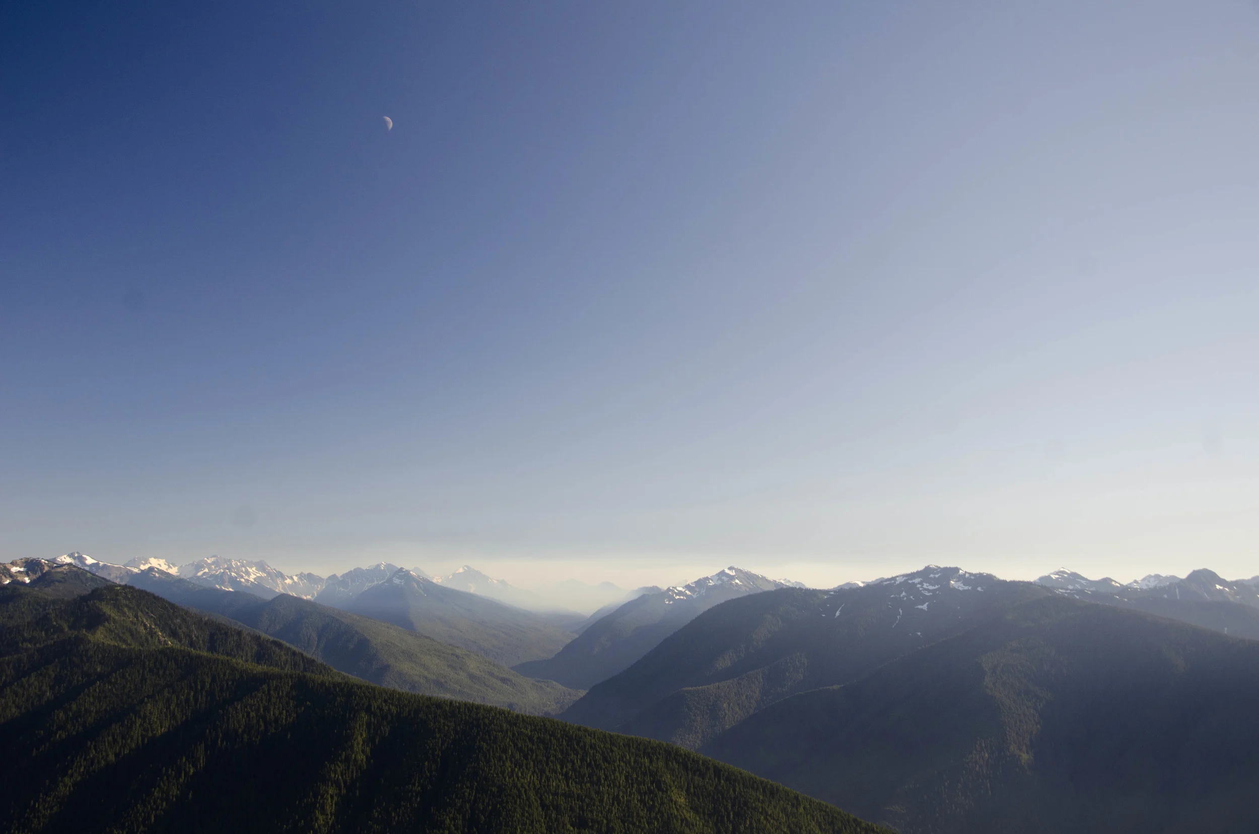 Day 41: 220 miles, 3 ferries and a new addition to our party!