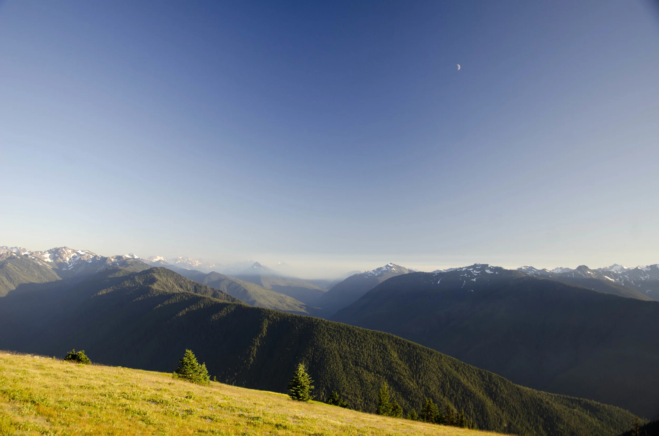 Day 41: 220 miles, 3 ferries and a new addition to our party!