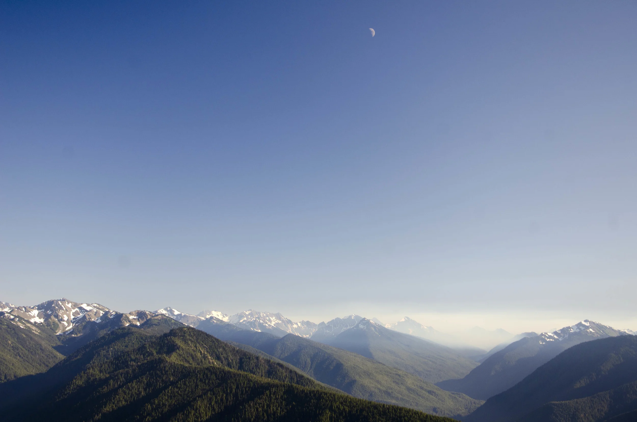 Day 41: 220 miles, 3 ferries and a new addition to our party!