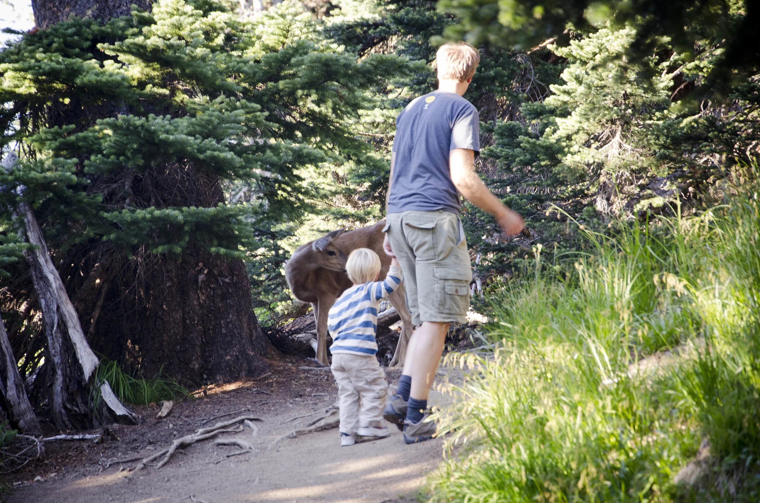 Day 41: 220 miles, 3 ferries and a new addition to our party!