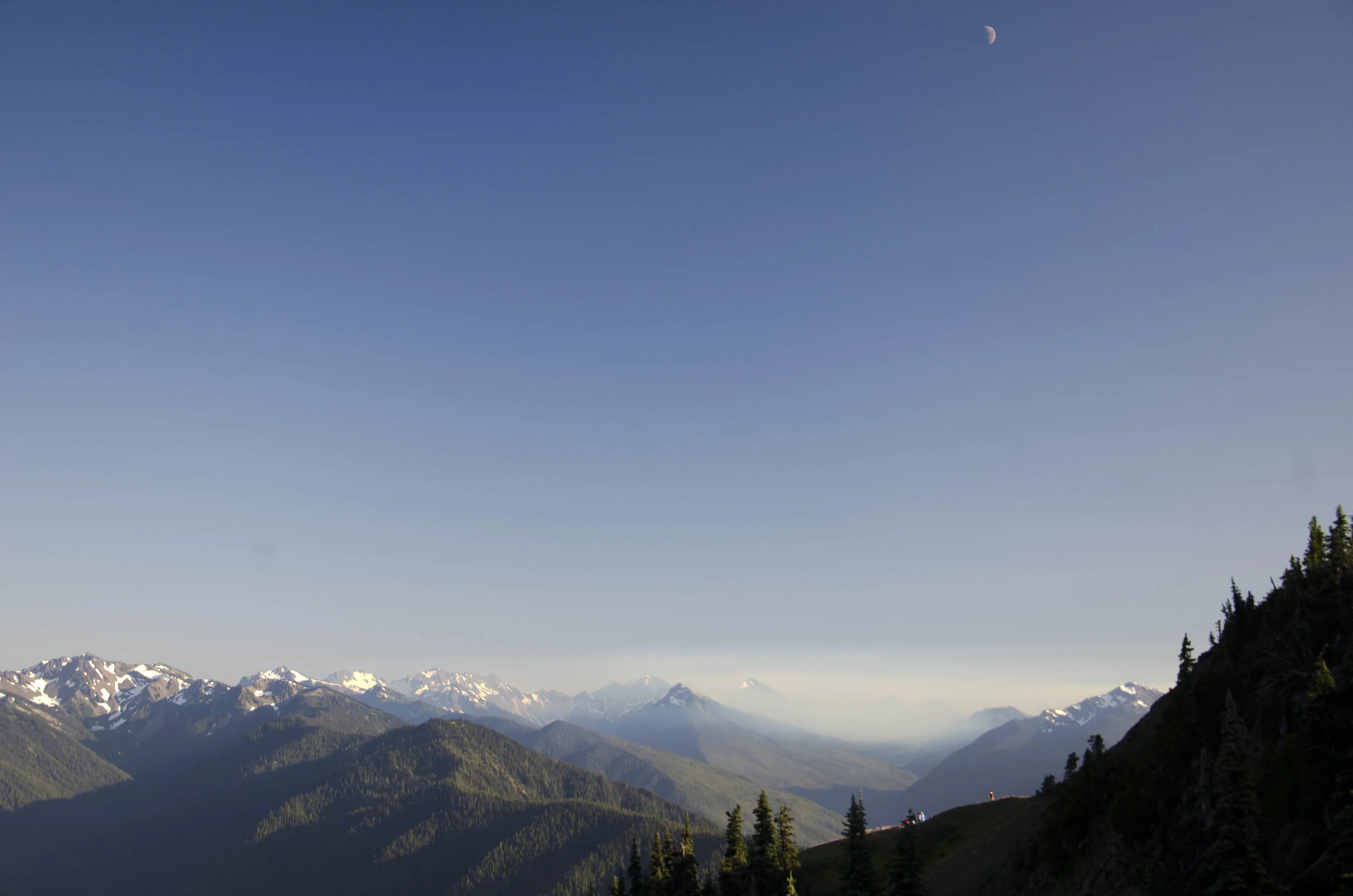 Day 41: 220 miles, 3 ferries and a new addition to our party!