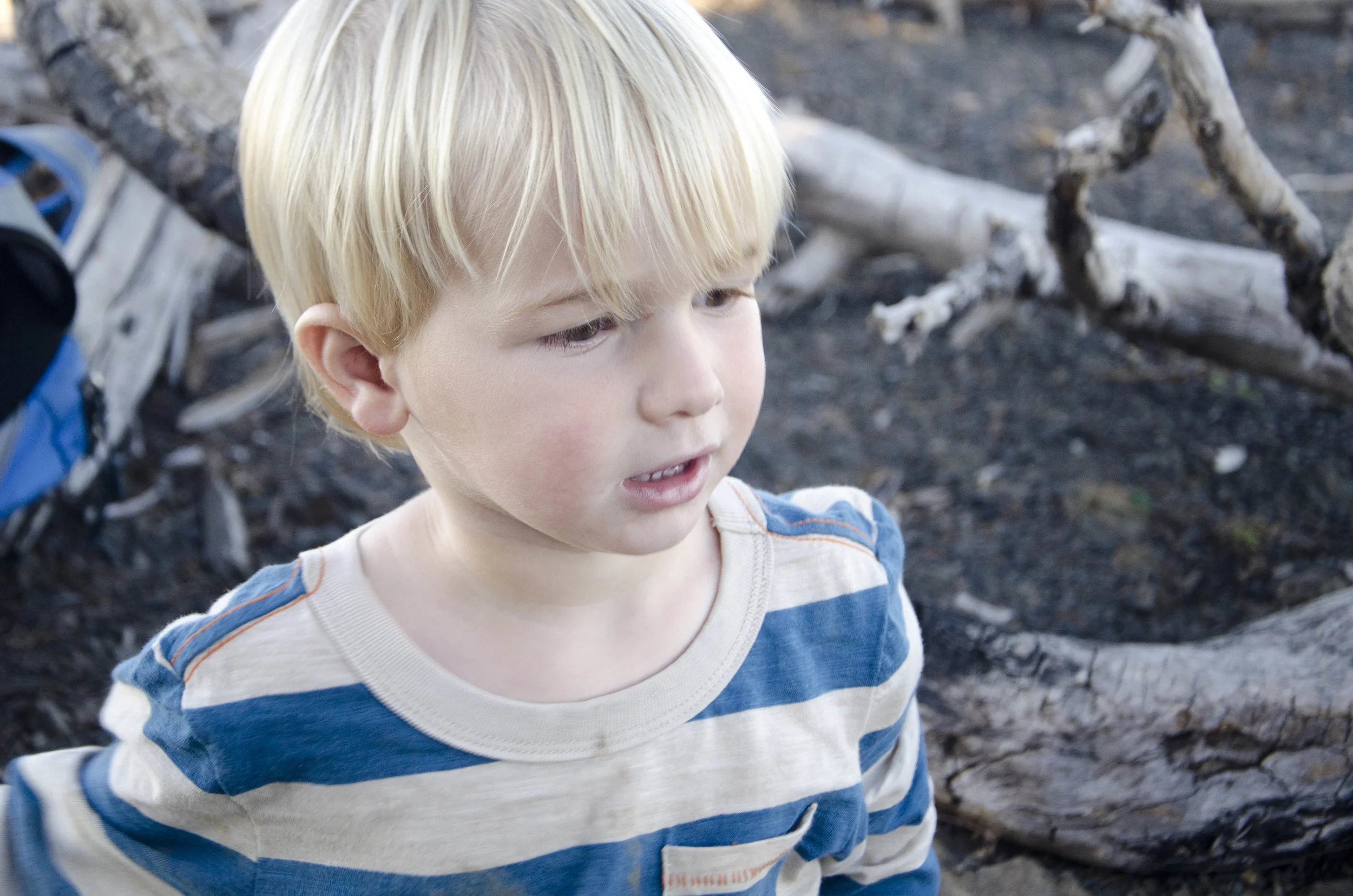 Day 41: 220 miles, 3 ferries and a new addition to our party!