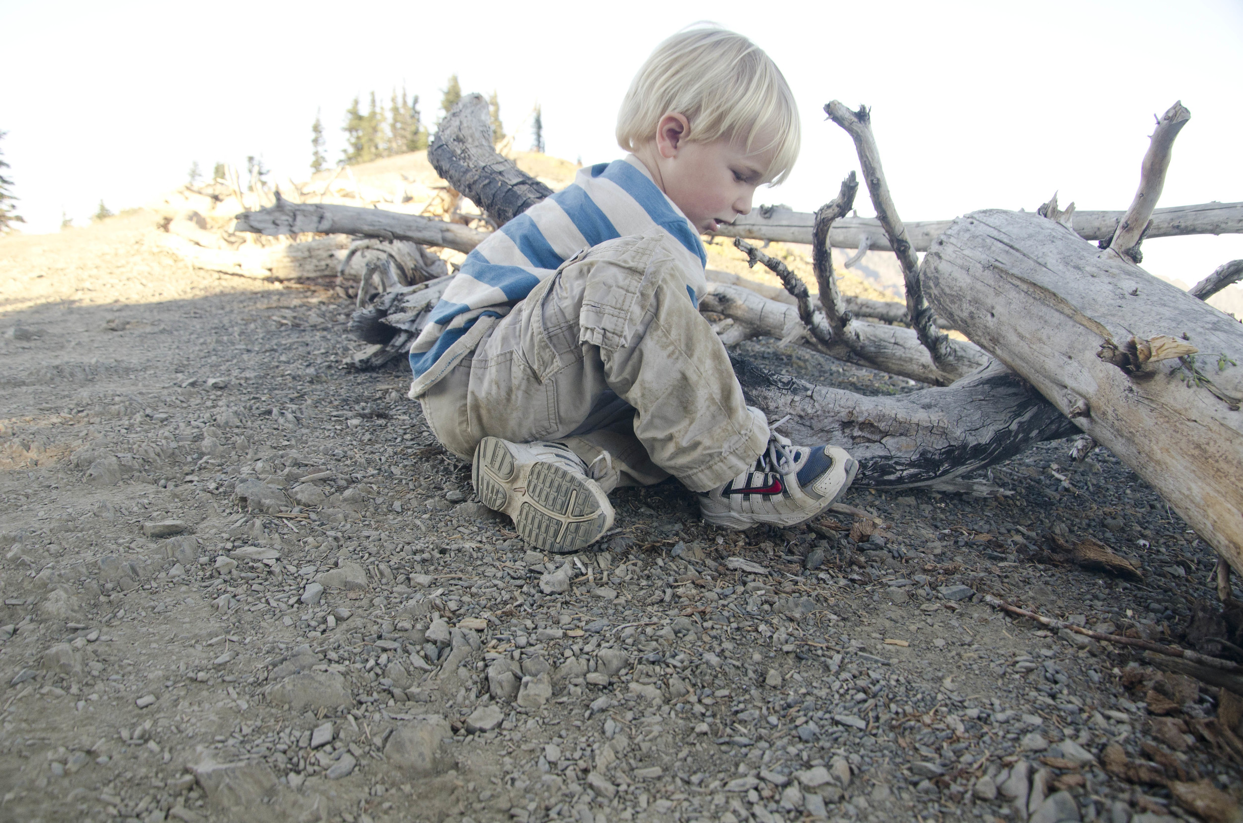 Day 41: 220 miles, 3 ferries and a new addition to our party!