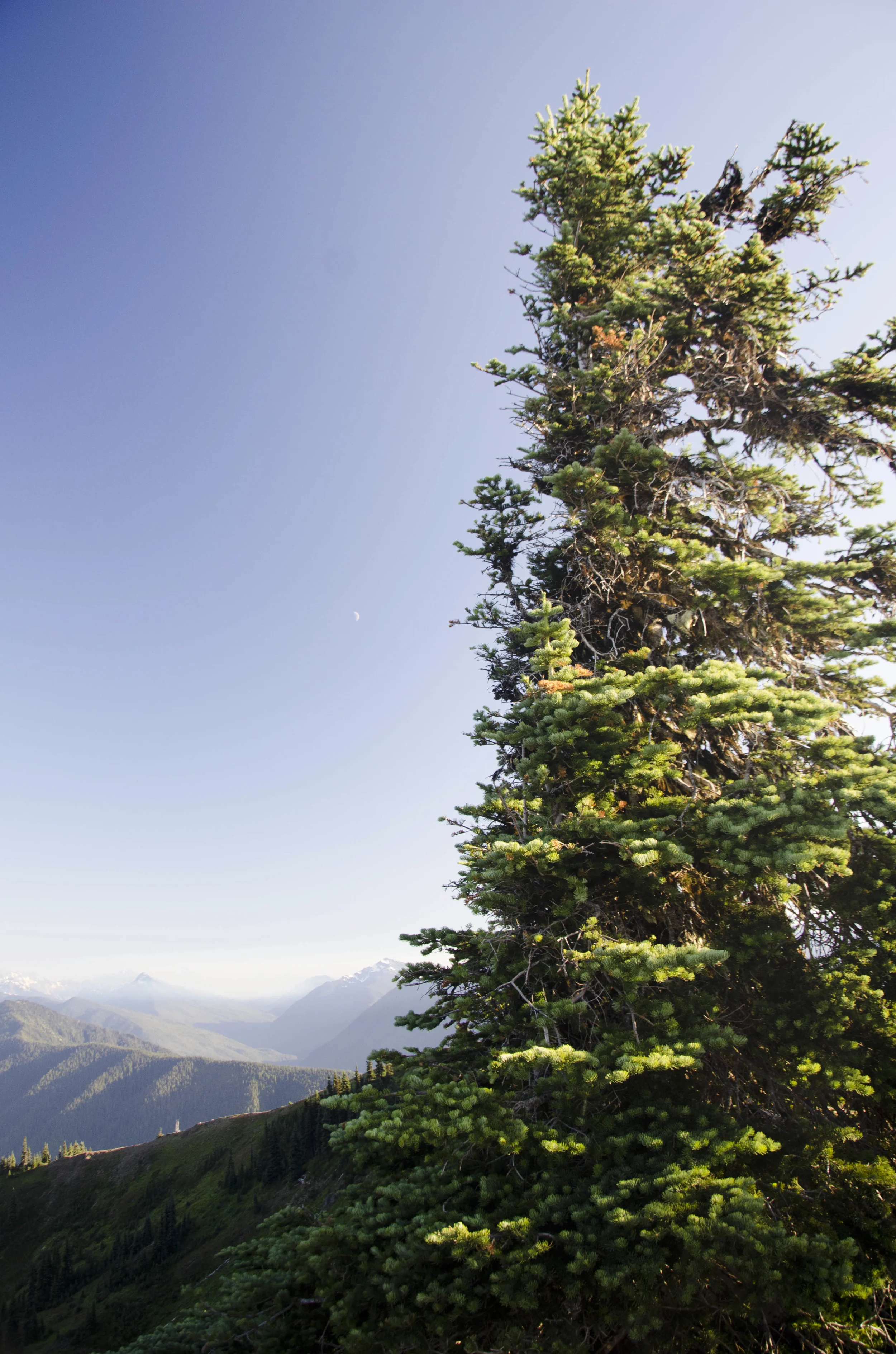 Day 41: 220 miles, 3 ferries and a new addition to our party!