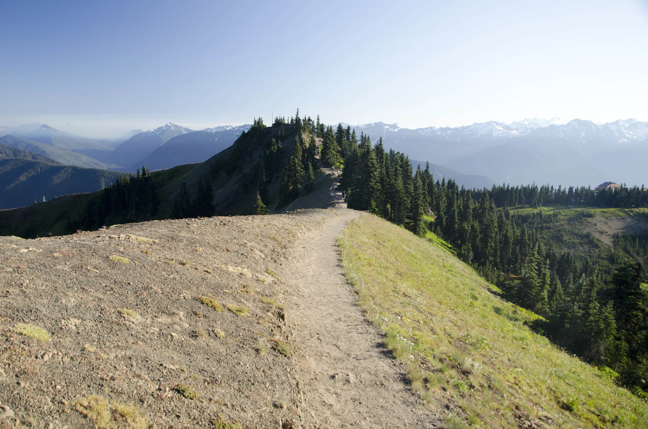 Day 41: 220 miles, 3 ferries and a new addition to our party!