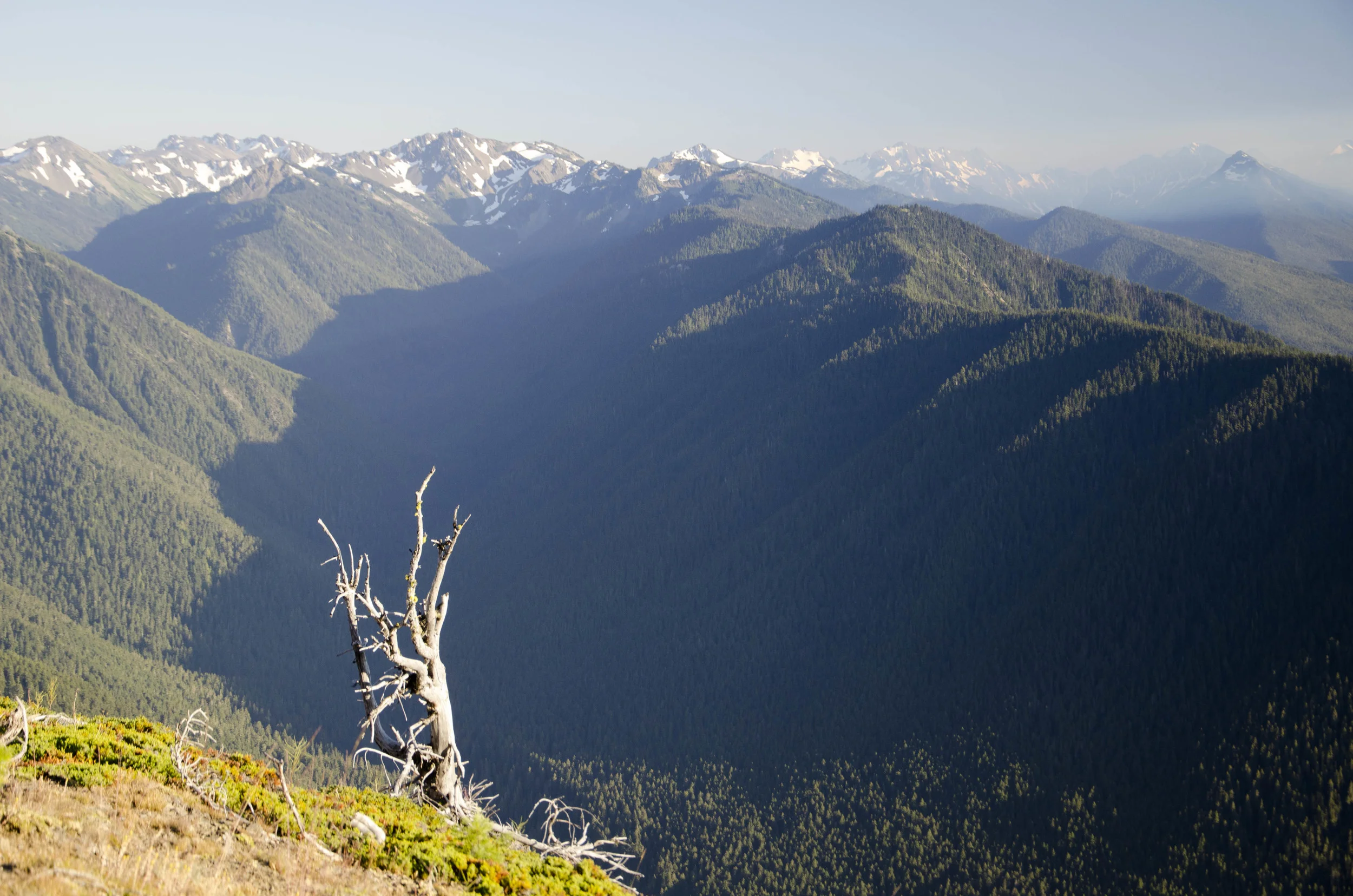 Day 41: 220 miles, 3 ferries and a new addition to our party!