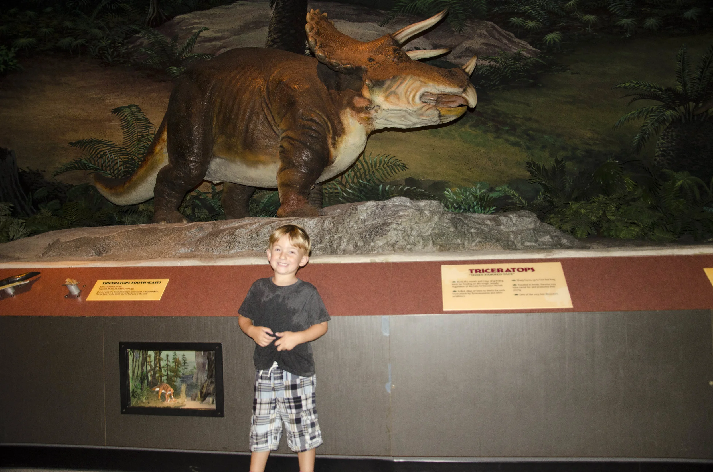 Day 40: Another big day in Seattle