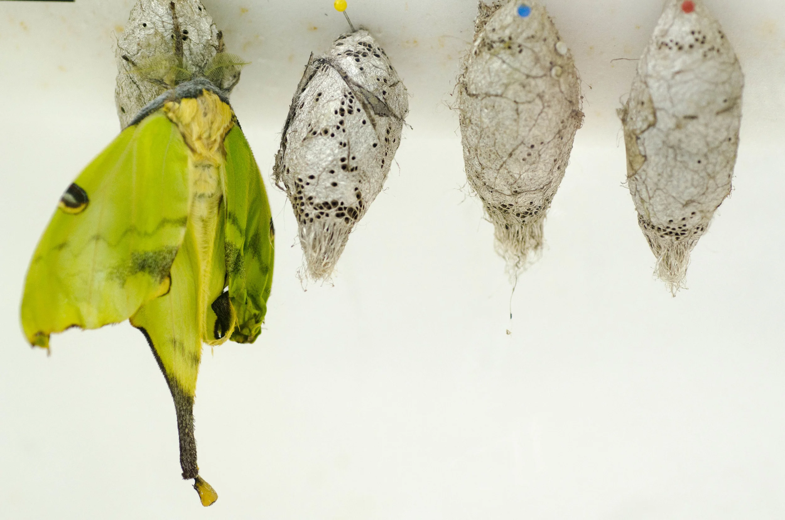 Day 40: Another big day in Seattle