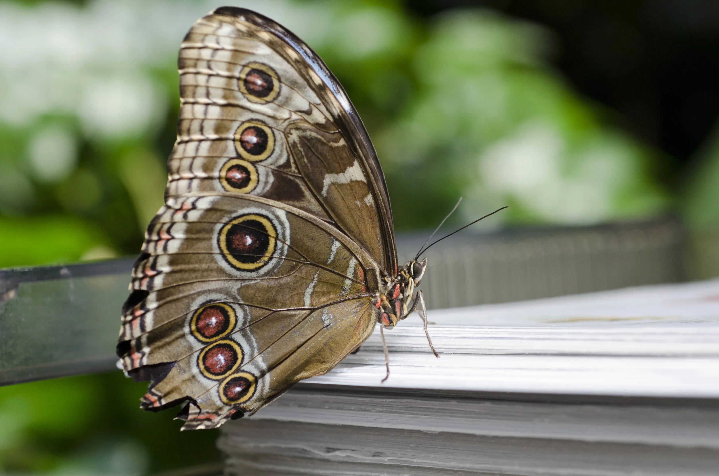 Day 40: Another big day in Seattle