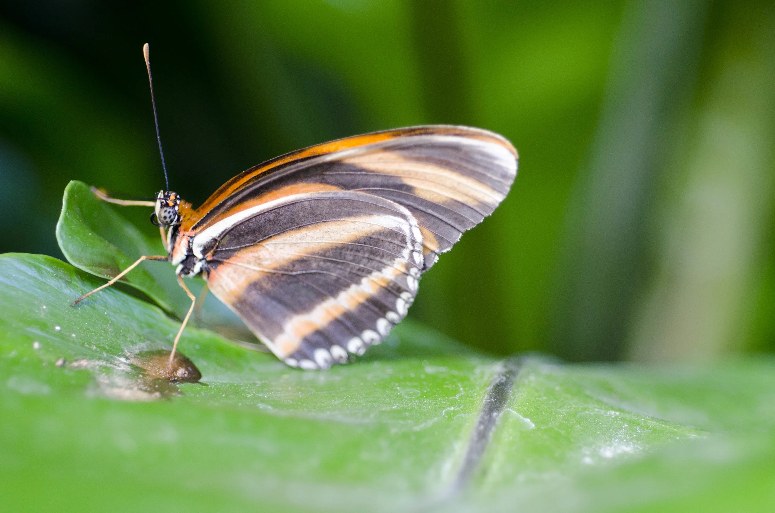 Day 40: Another big day in Seattle