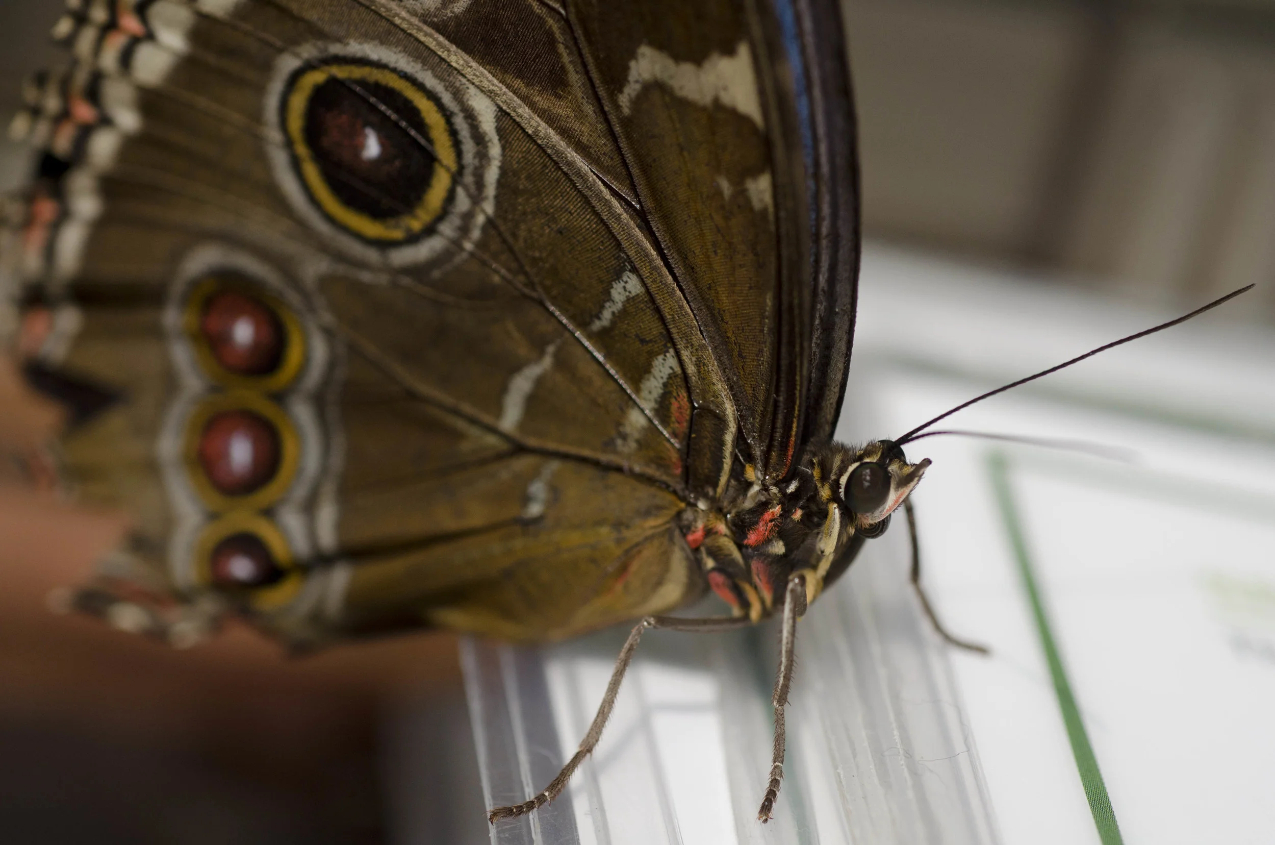 Day 40: Another big day in Seattle