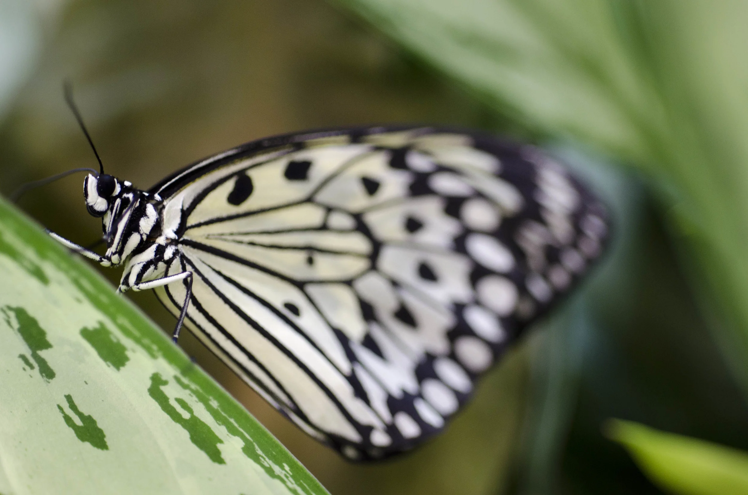 Day 40: Another big day in Seattle