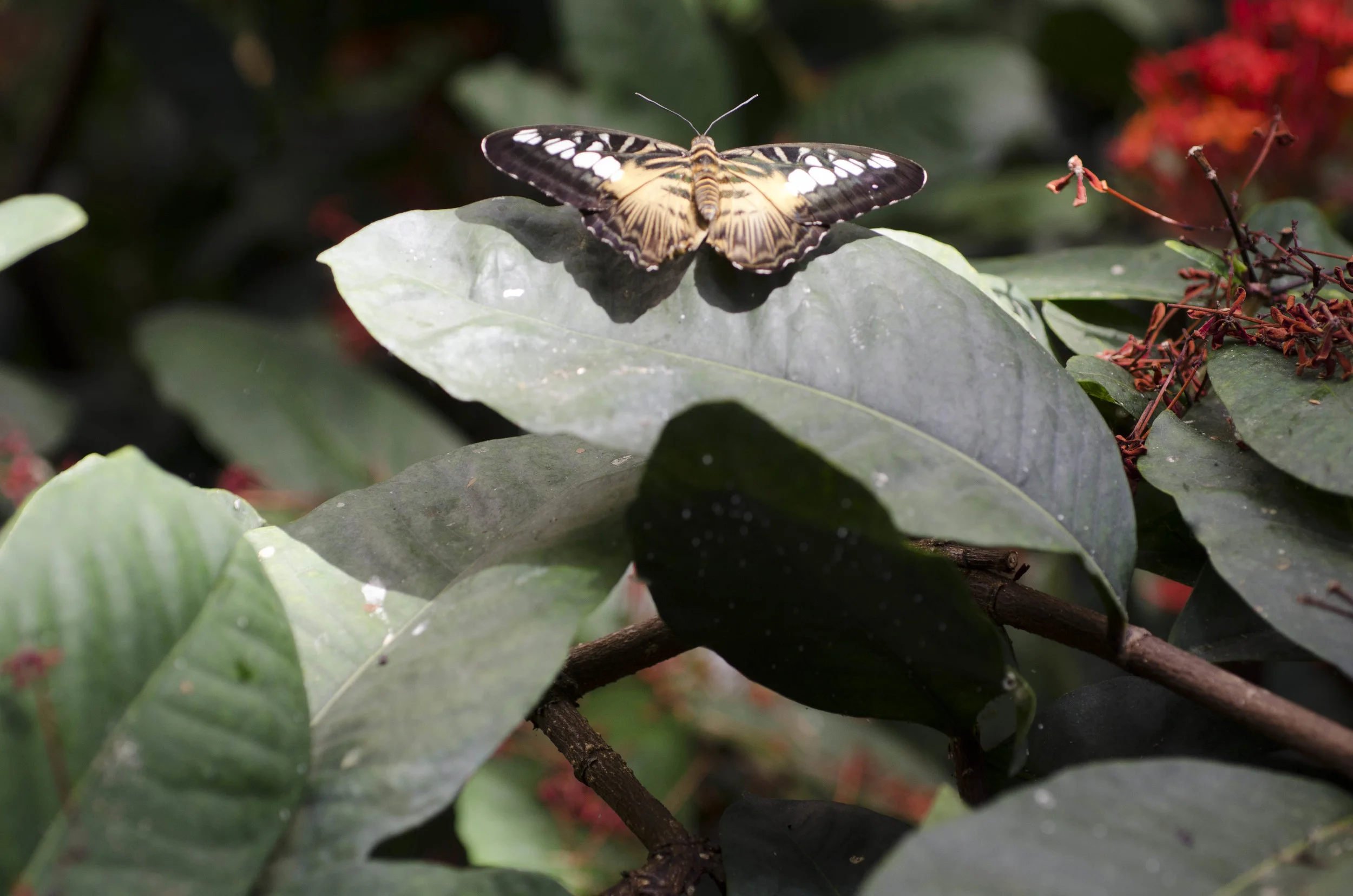 Day 40: Another big day in Seattle