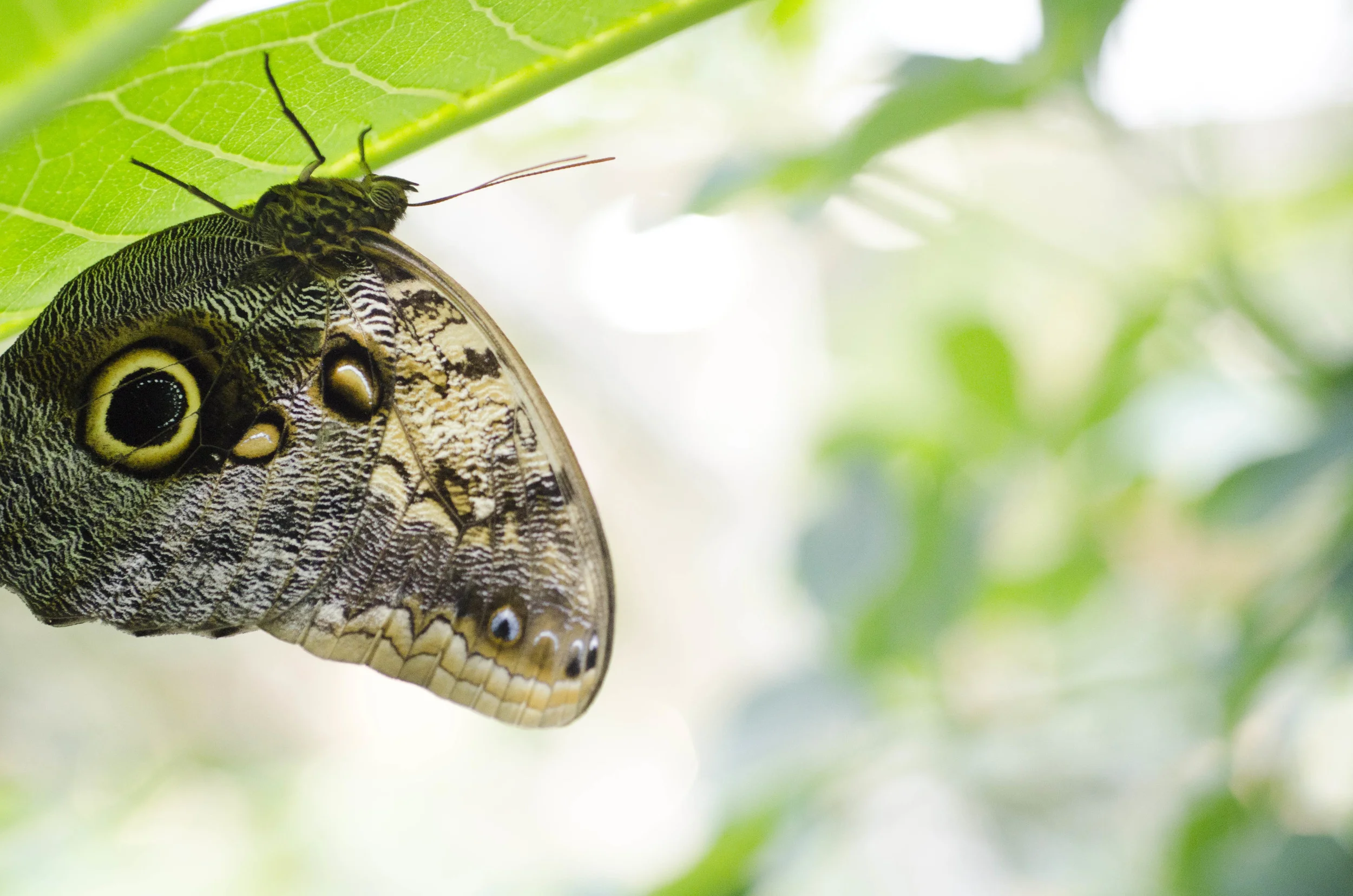 Day 40: Another big day in Seattle