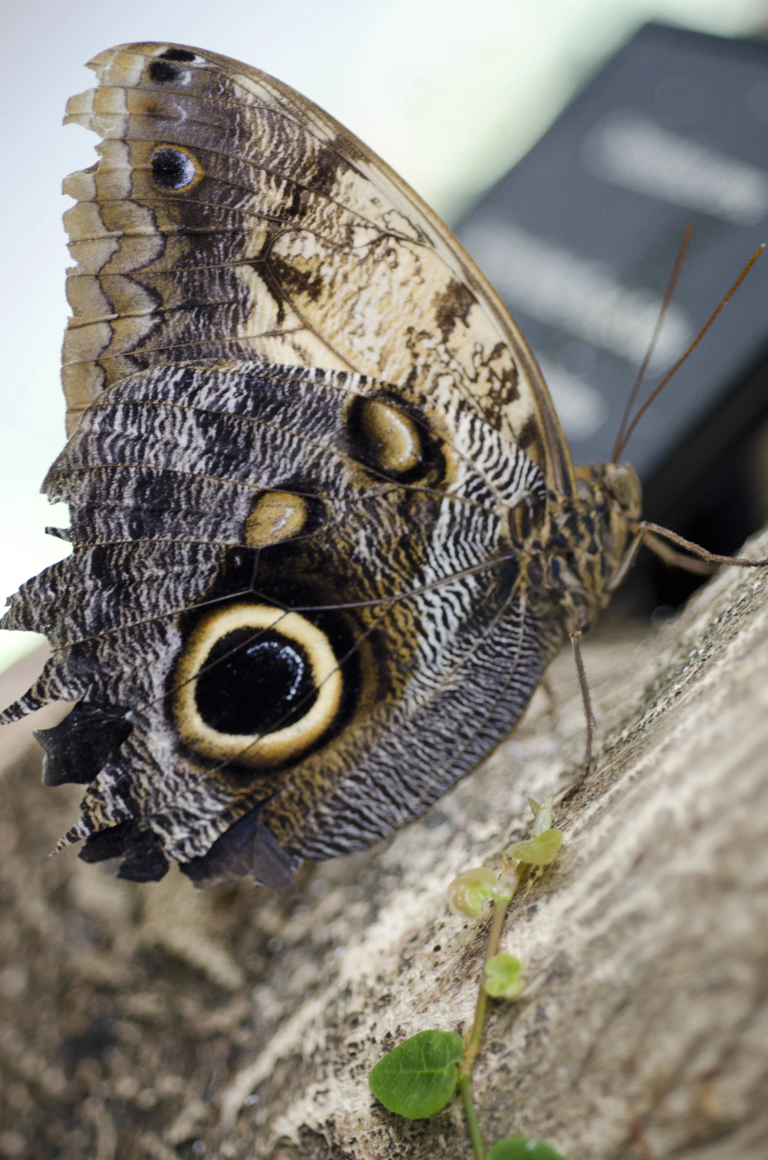 Day 40: Another big day in Seattle