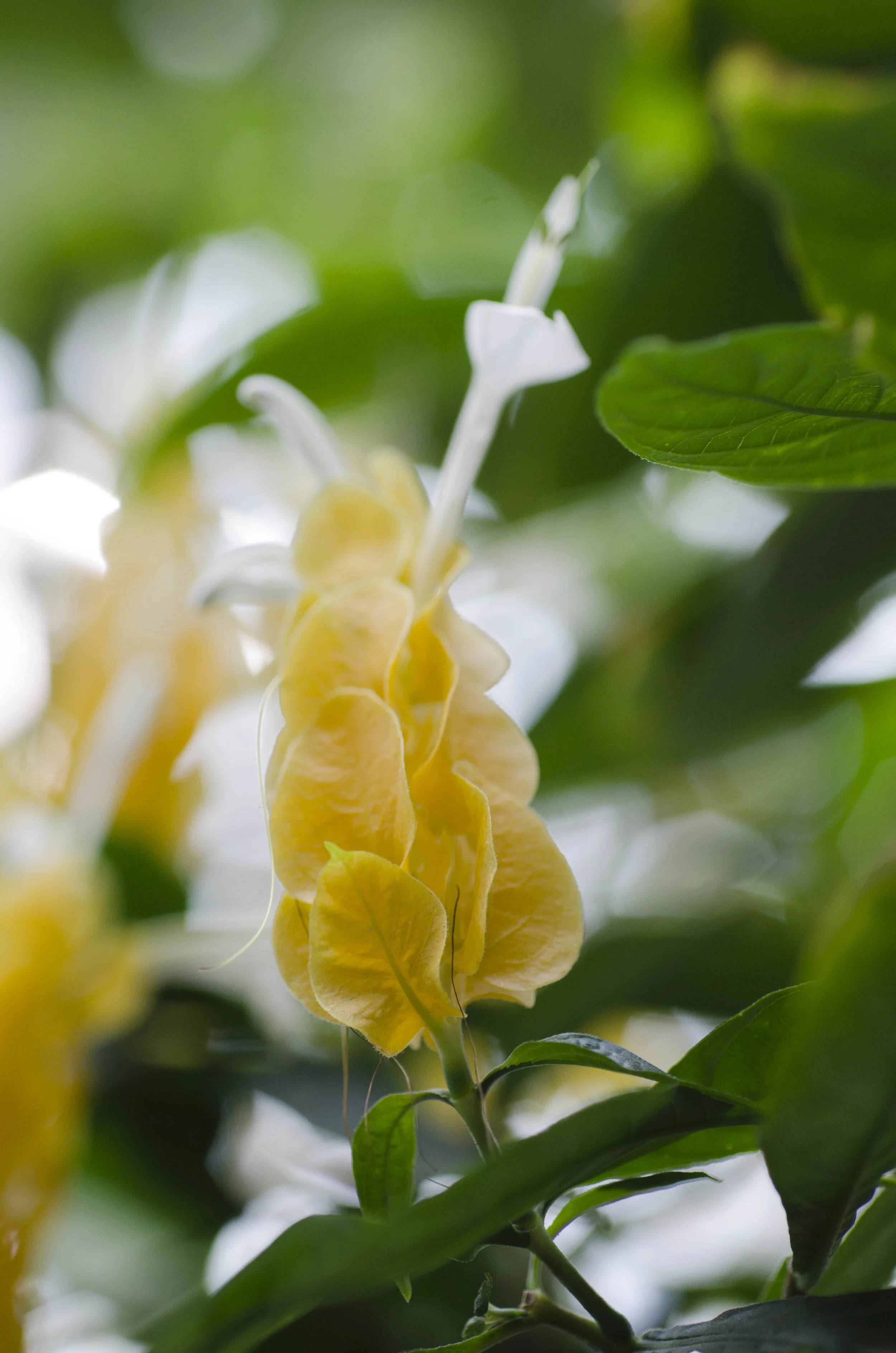 Day 40: Another big day in Seattle