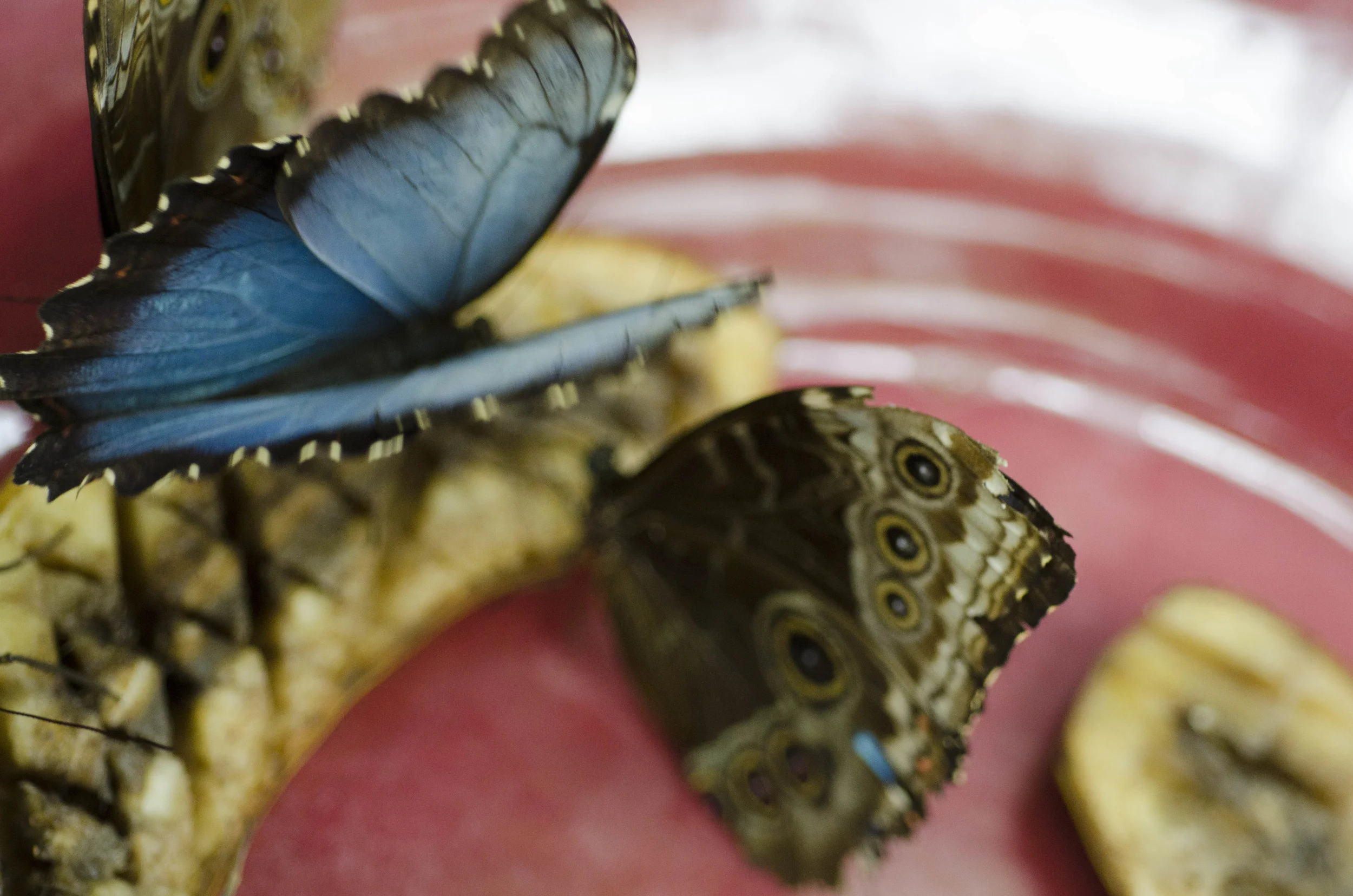 Day 40: Another big day in Seattle