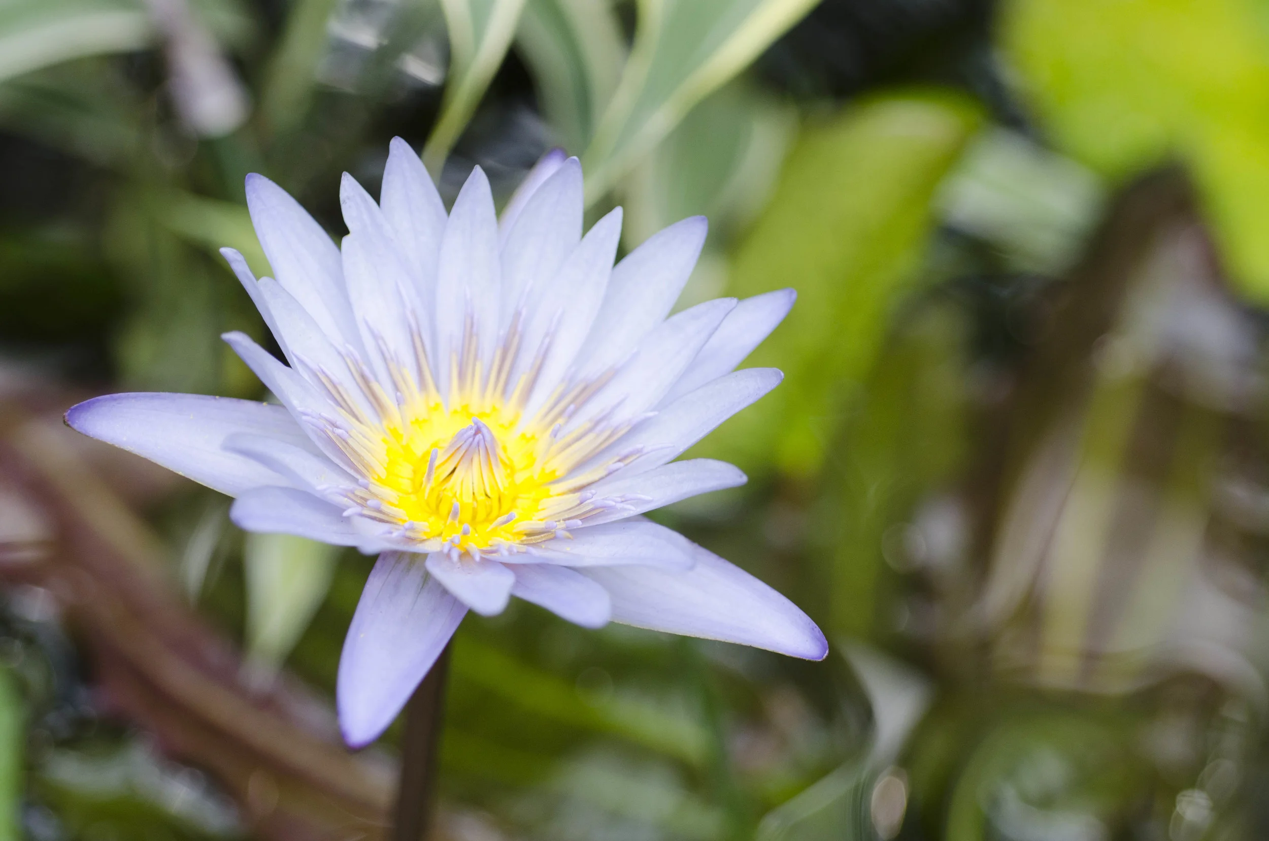 Day 40: Another big day in Seattle