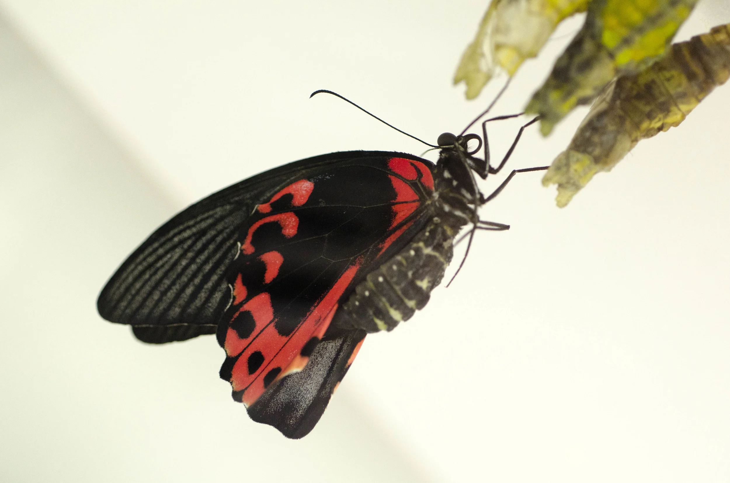 Day 40: Another big day in Seattle