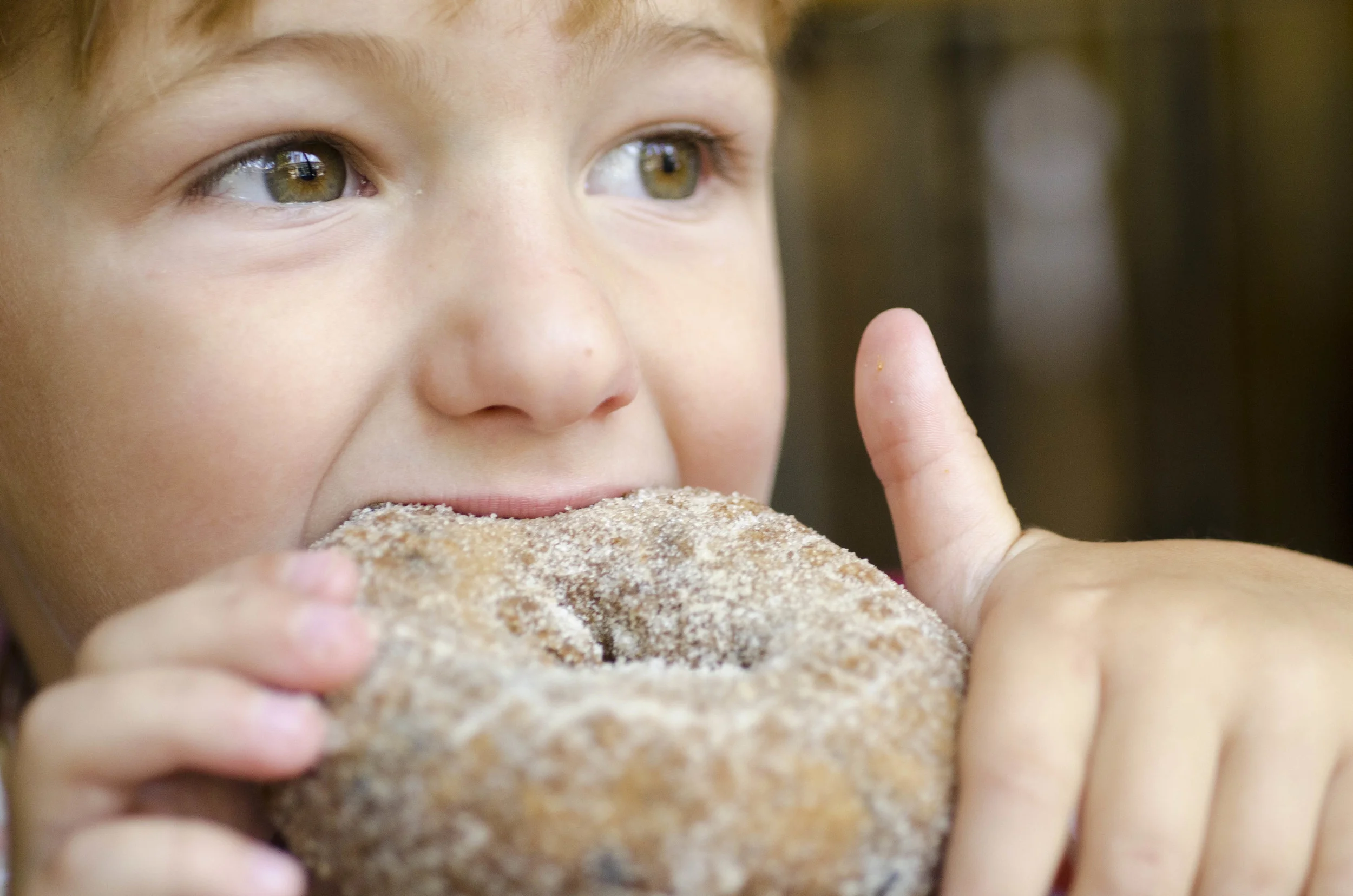 Day 39: an uncounted number of miles... on foot